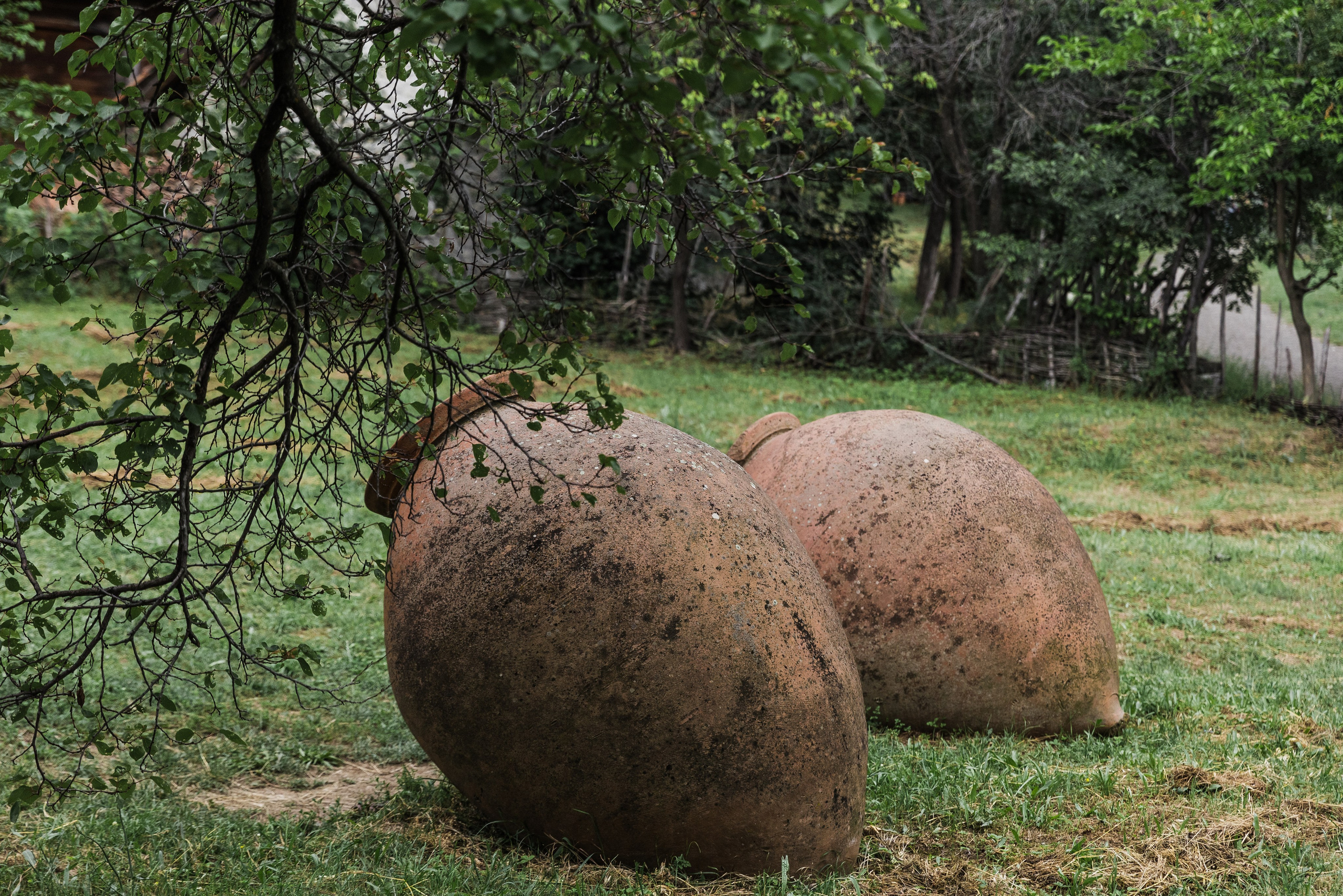 Georgia. Свадебный и семейный фотограф в Краснодаре Роман Моско