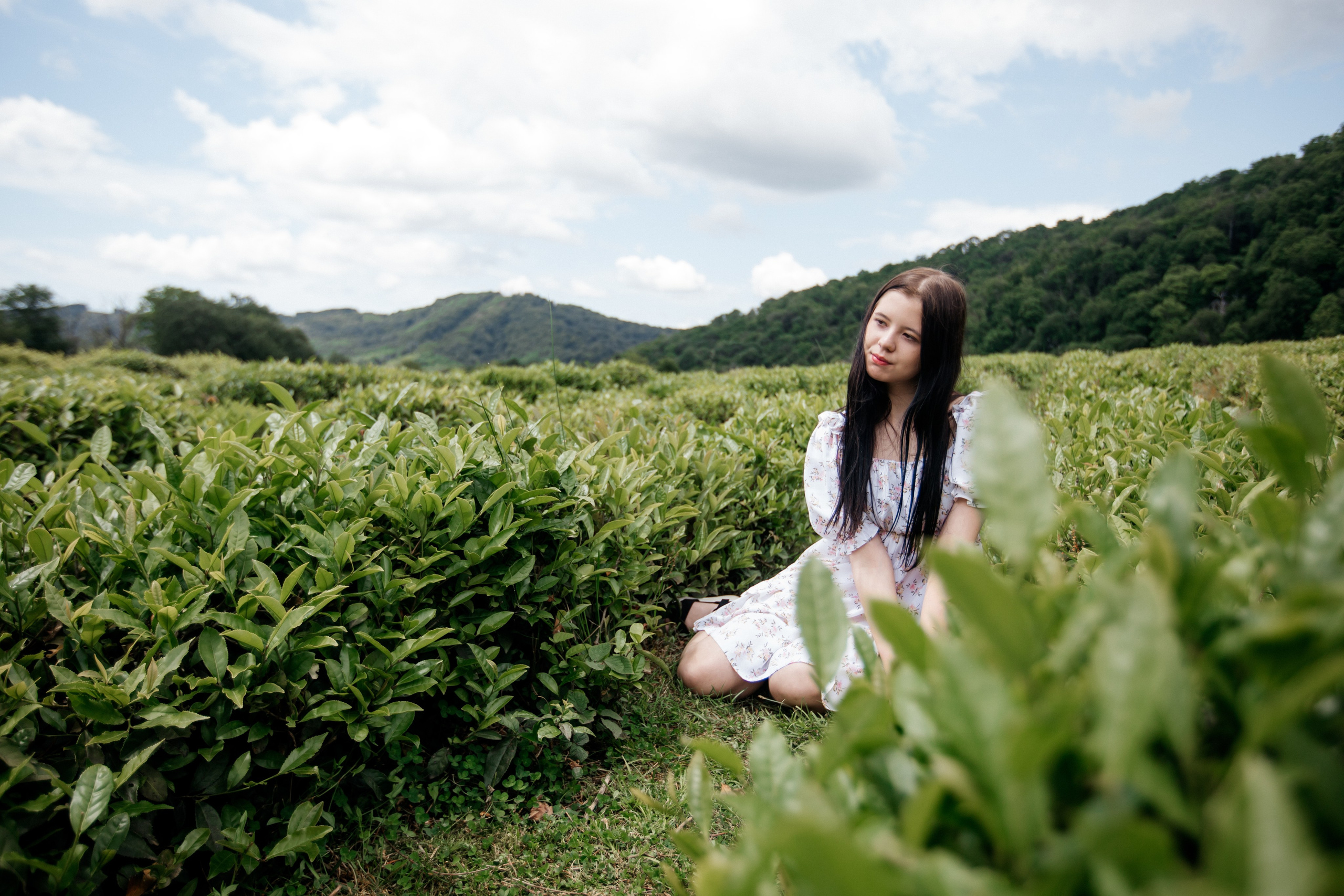 Tea plantation. Efimova Model Agency
