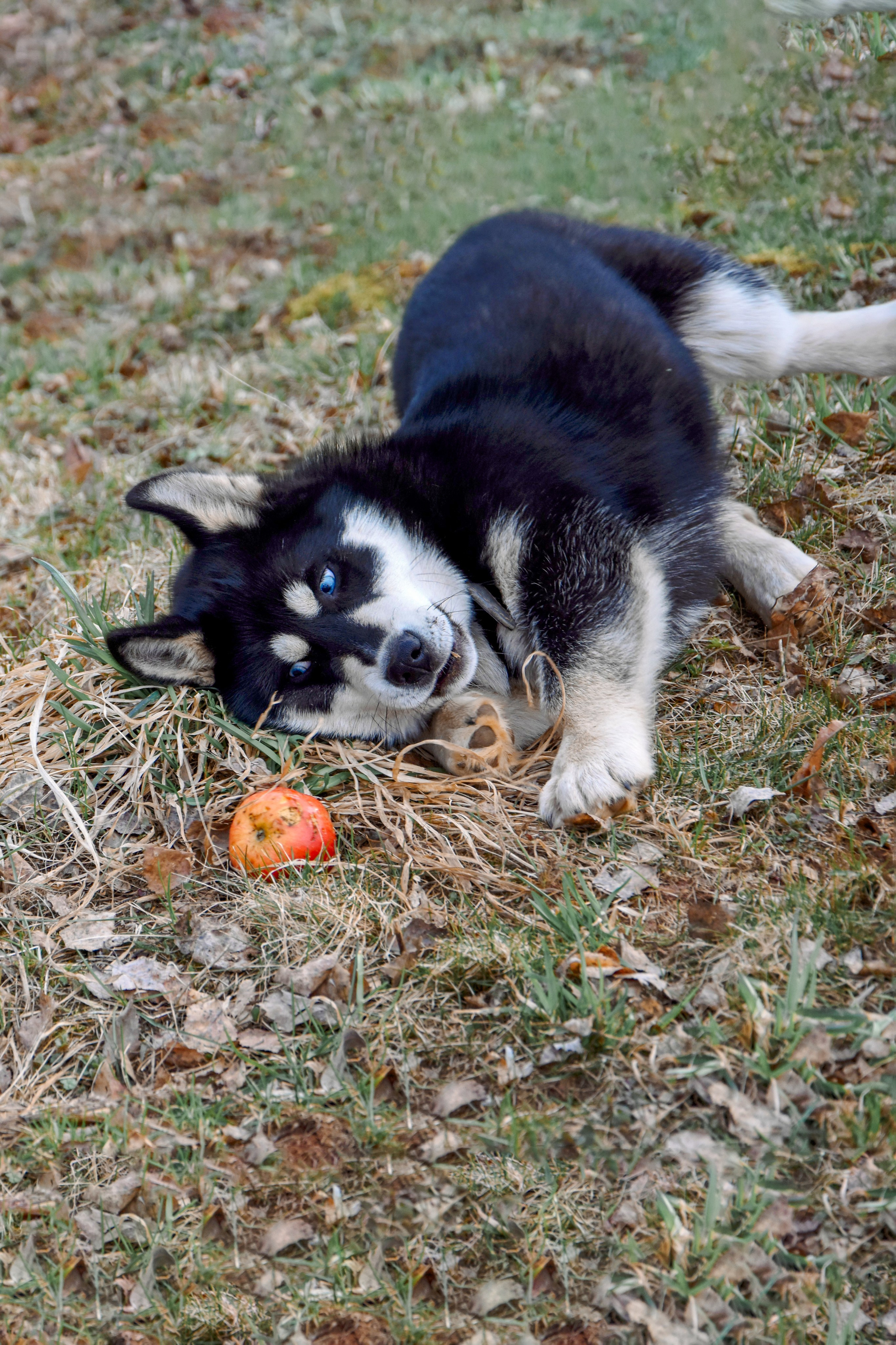 Фотосессия на природе. Фотограф в Кирове Инна Софронова