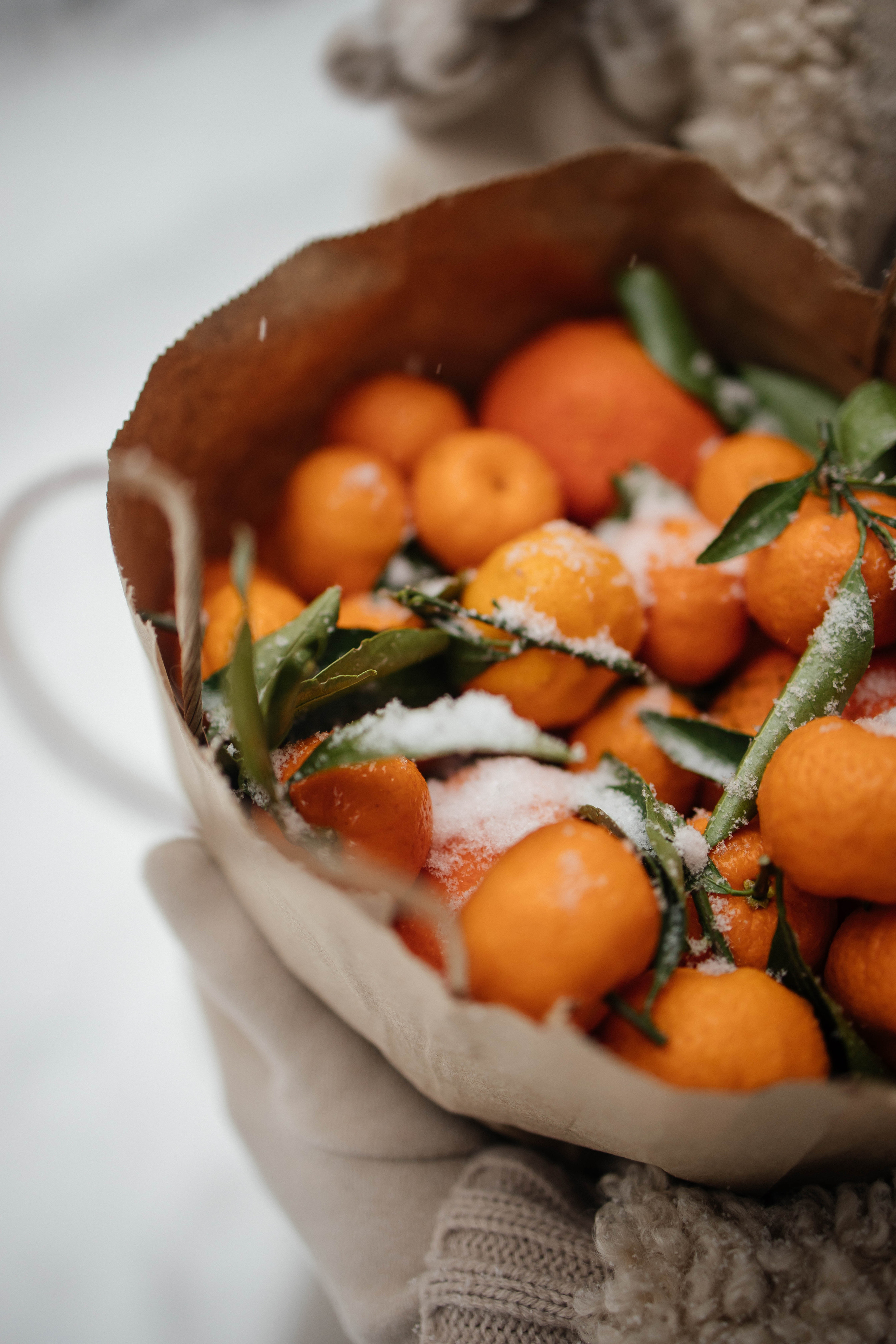 Мария, лесная фотопрогулка. Фотограф в Красногорске Инна Романова, индивидуальные съемки, лавстори