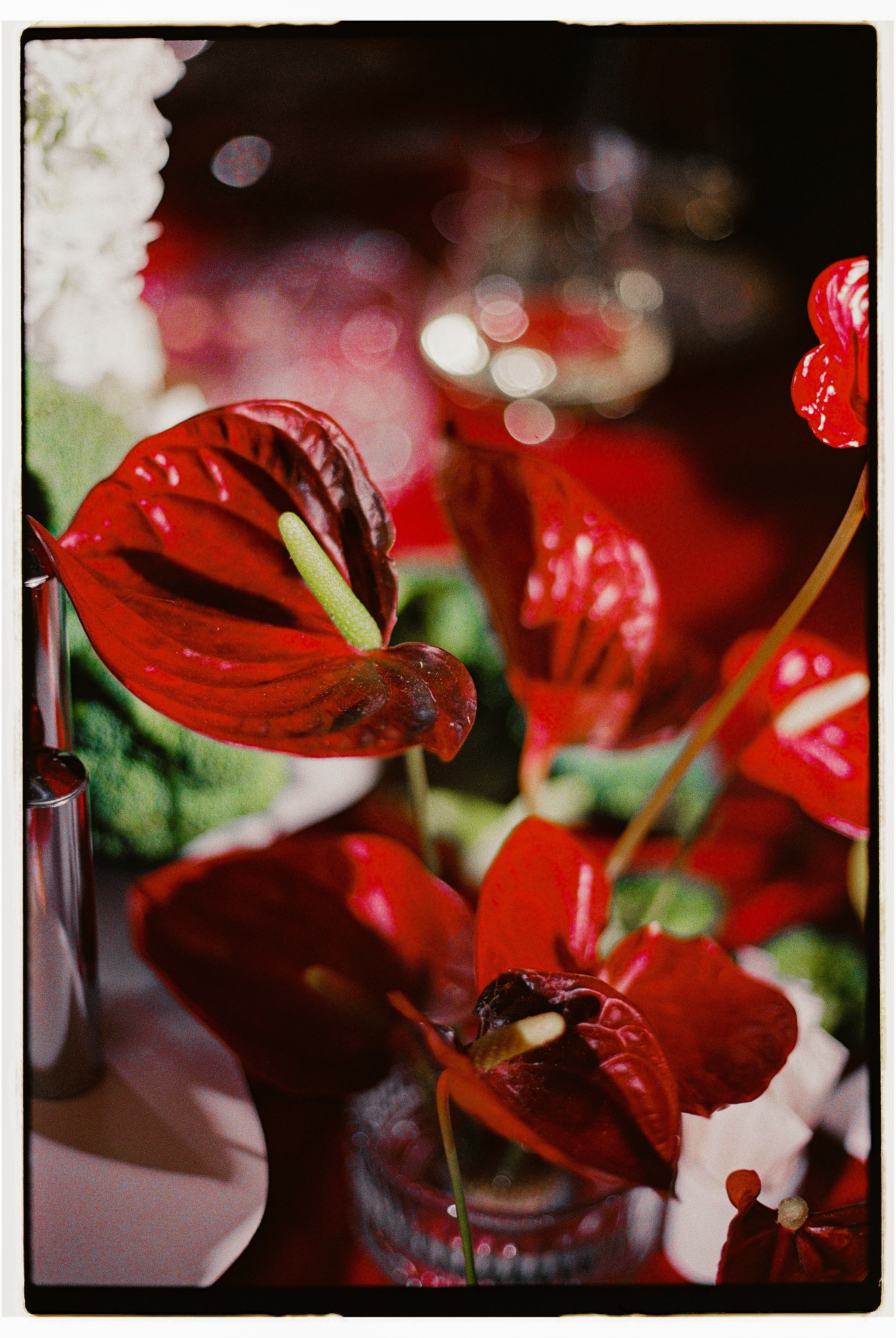 Autumn in Moscow. Сентиментальная свадебная фотография