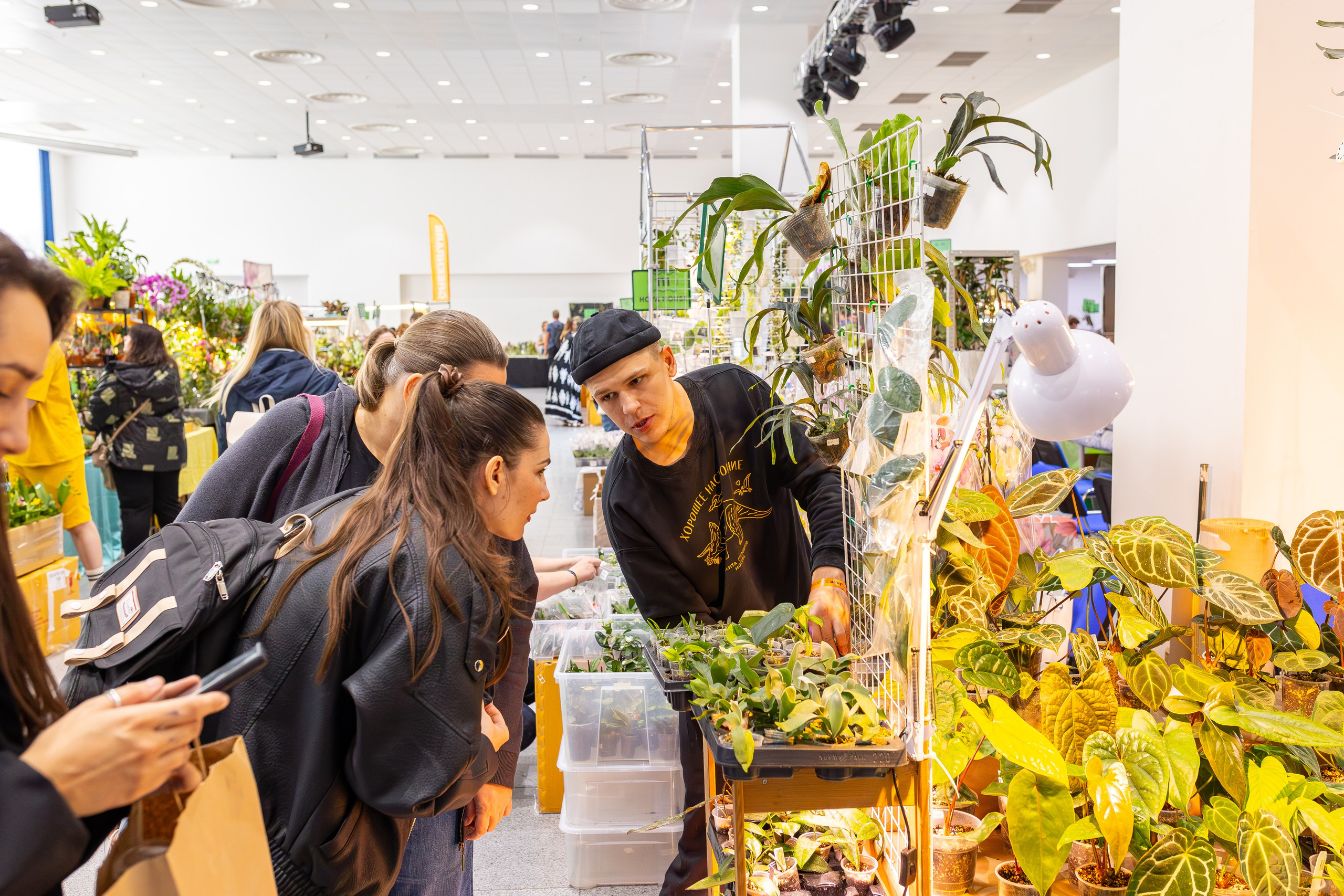 Орхидиум сентябрь 2025. Александра Куликова фотограф, Москва