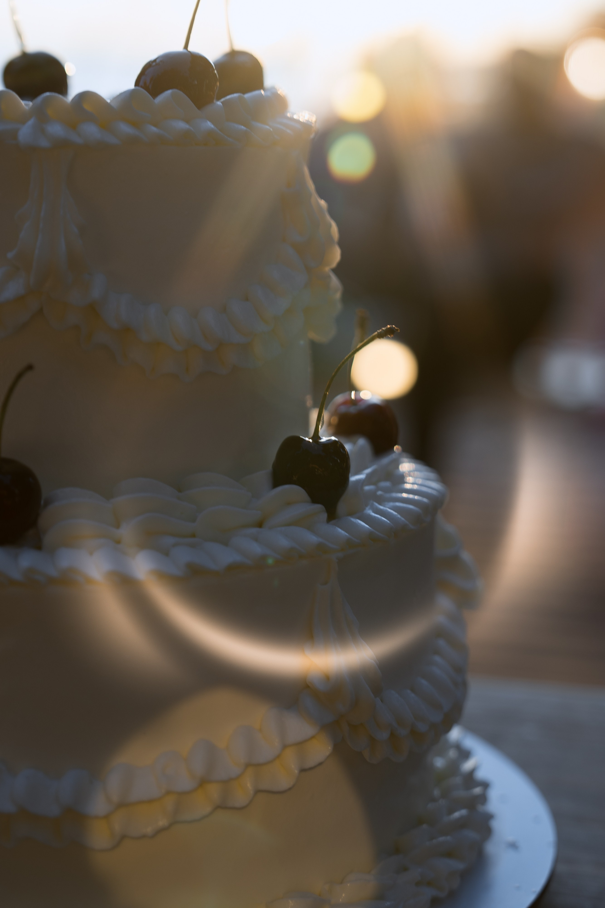 Герман & Света. Свадебное агентство WedStories agency