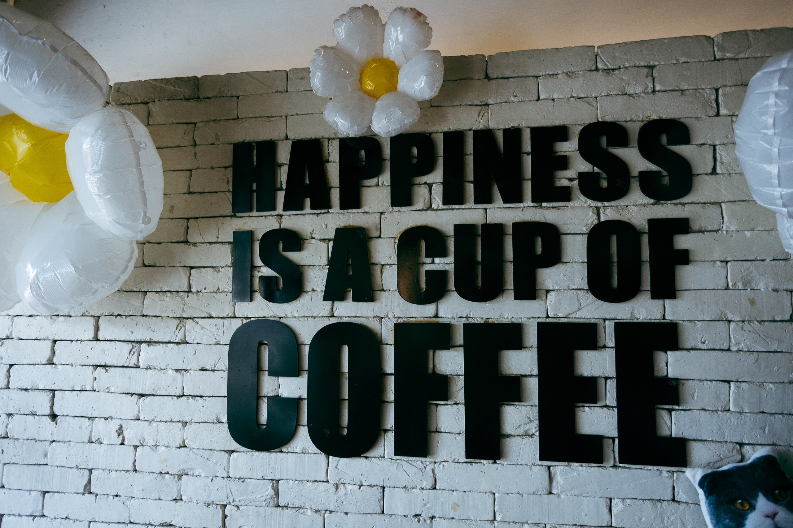 Cazz Cafe. Фотограф Сонкина Татьяна