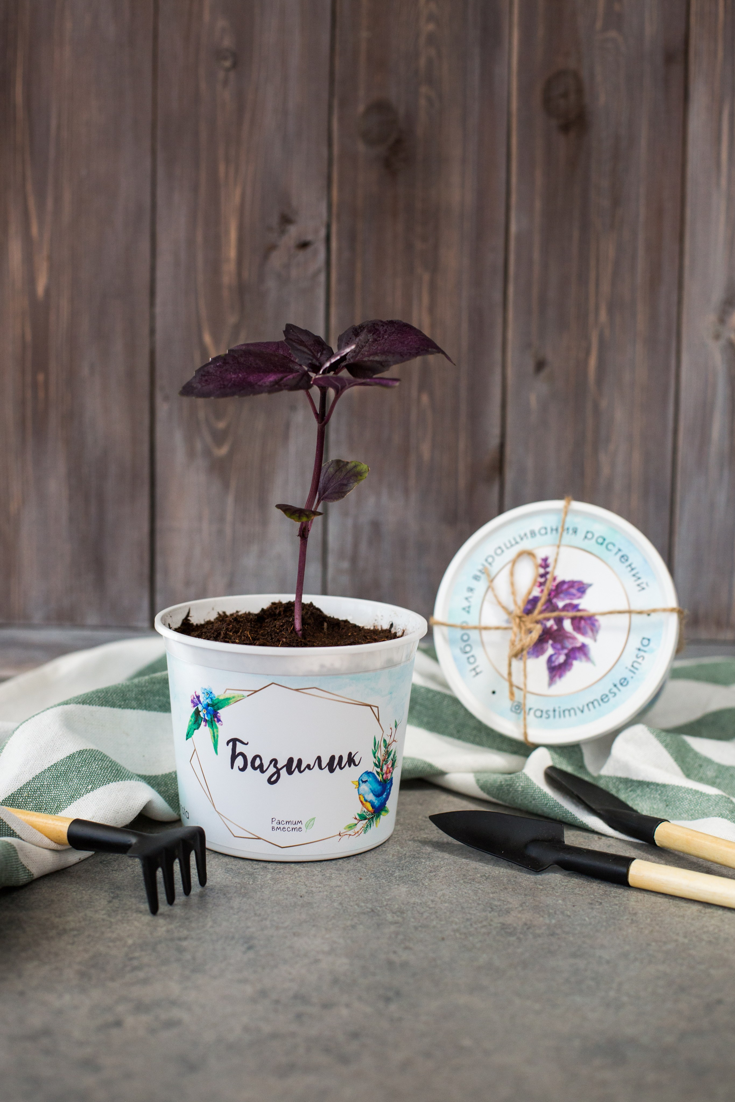 Растим вместе. Главная