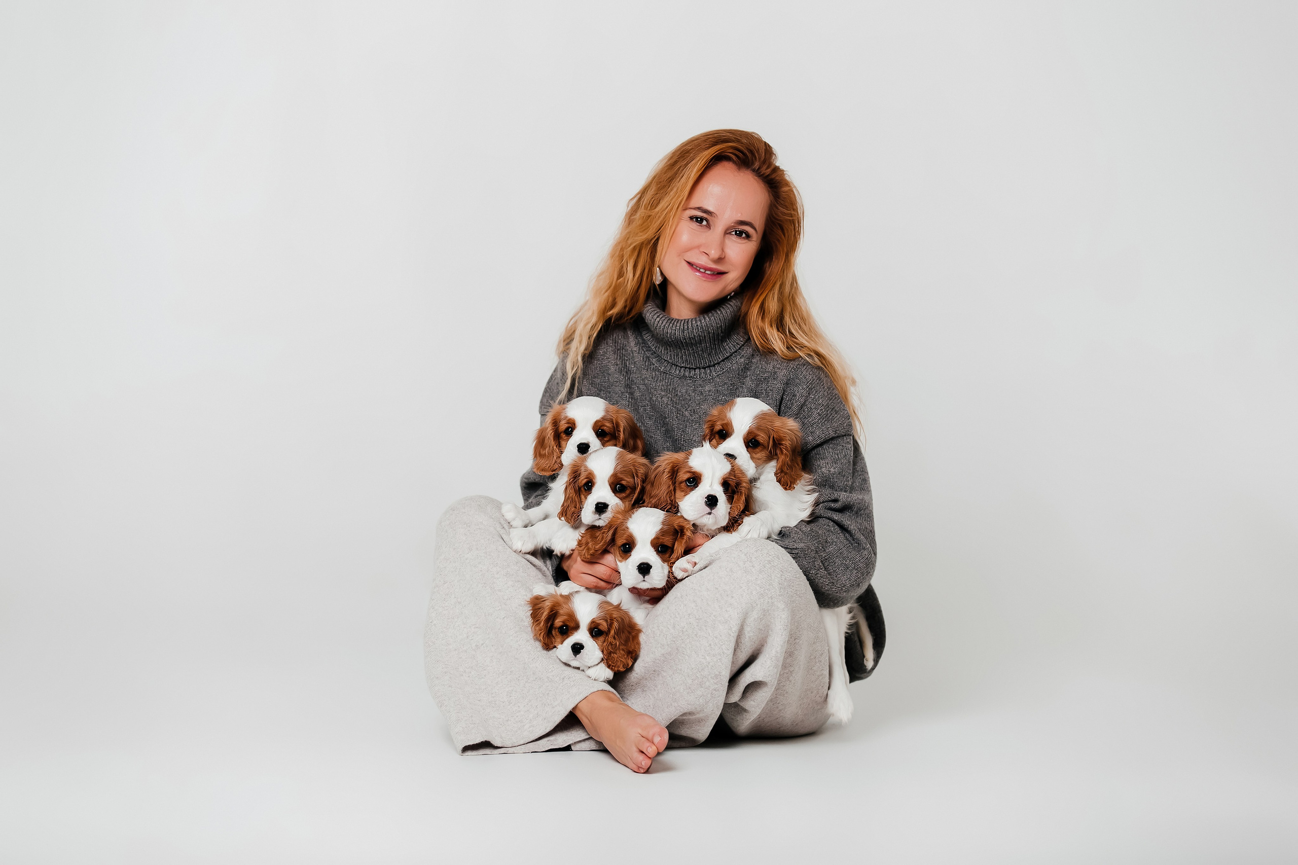 Щенки кавалера в фотостудии. Фотограф-анималист в Краснодаре Маша Мельникова