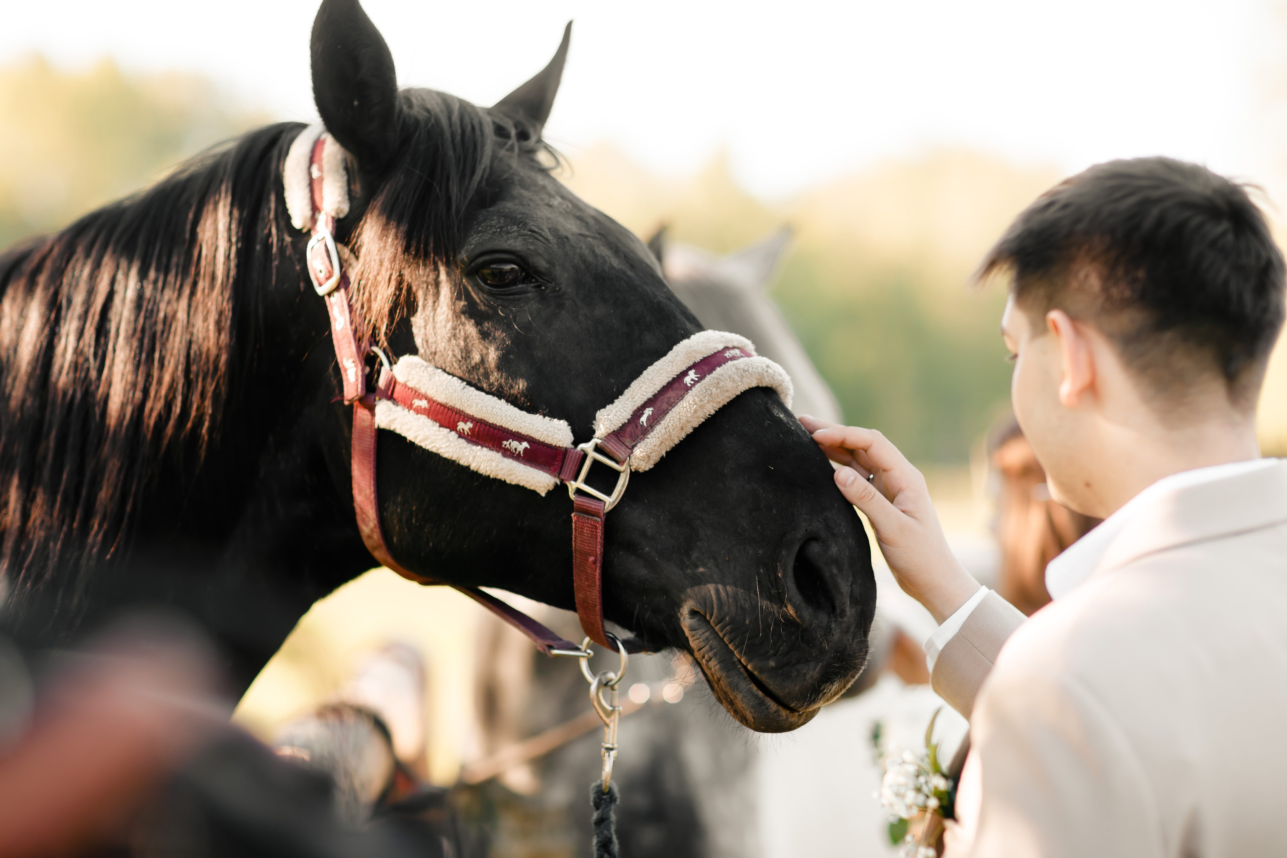 Гликерия и Дмитрий|Ранчо. Свадебный фотограф Серпухов — Москва Ольга Васильева