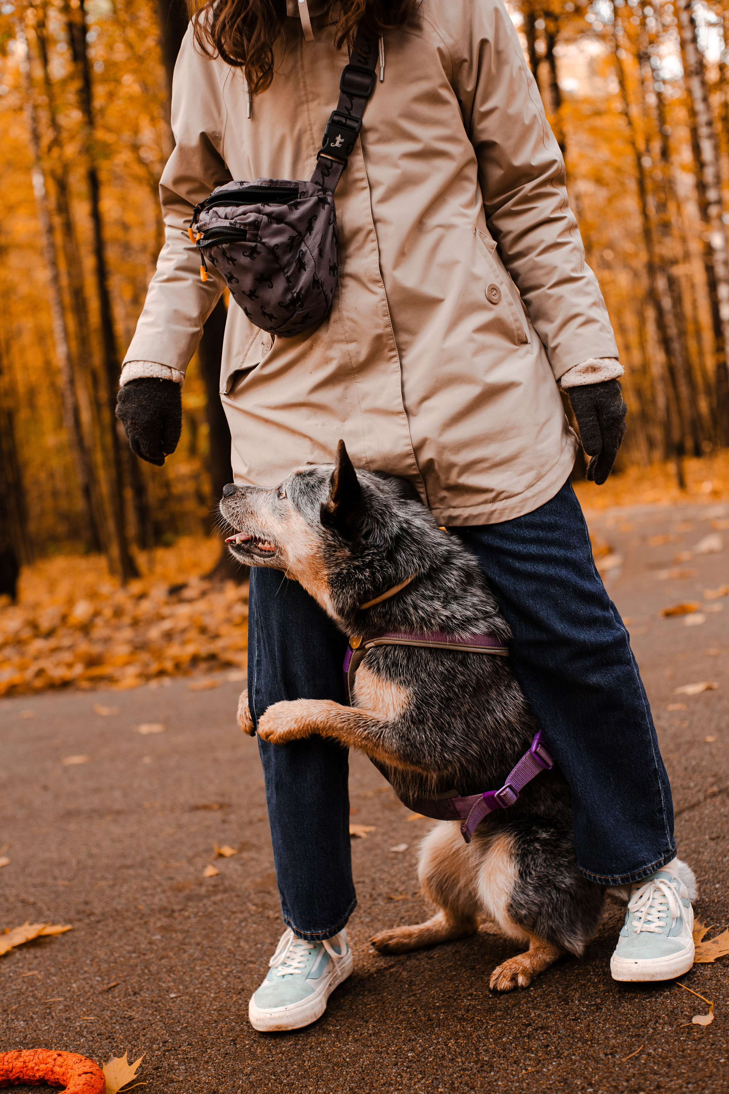 Юля, Антон и Лу. Фотограф-анималист Мария Баркевич | Москва