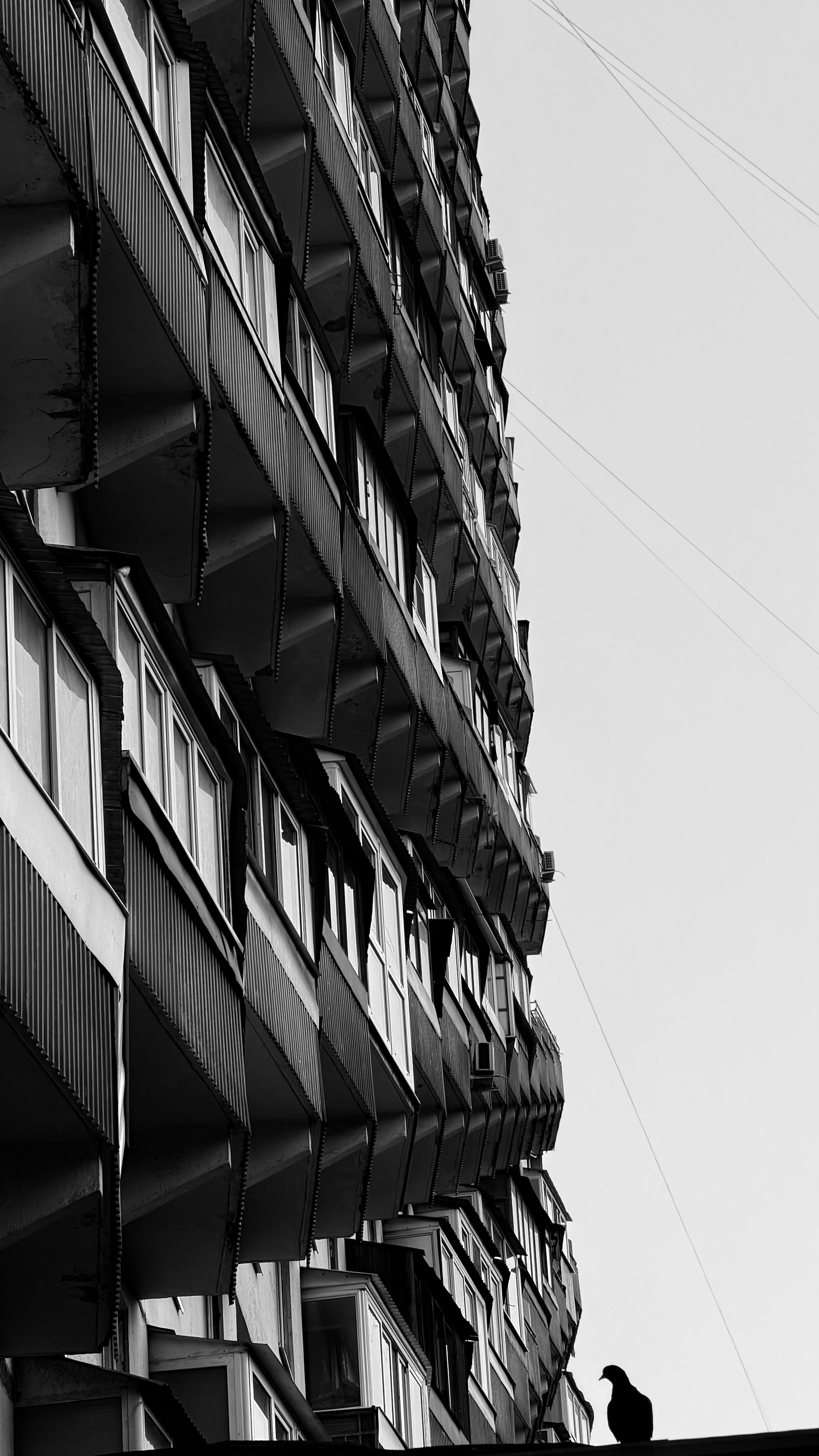 Мобильное фото. Фотограф в Москве Айгуль Евграфова