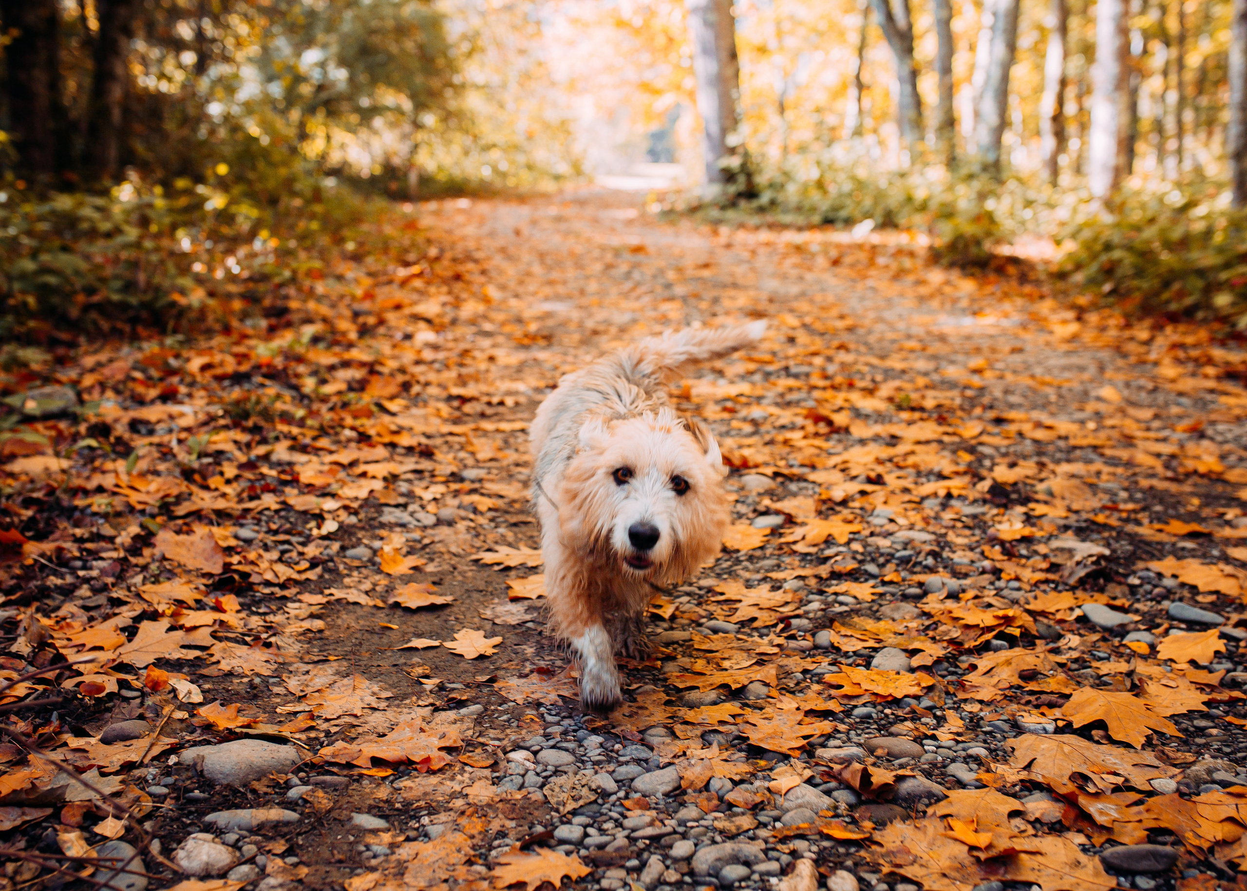 Никита и Оля. Фотограф в Приморско-Ахтарске Марьяна Чопко