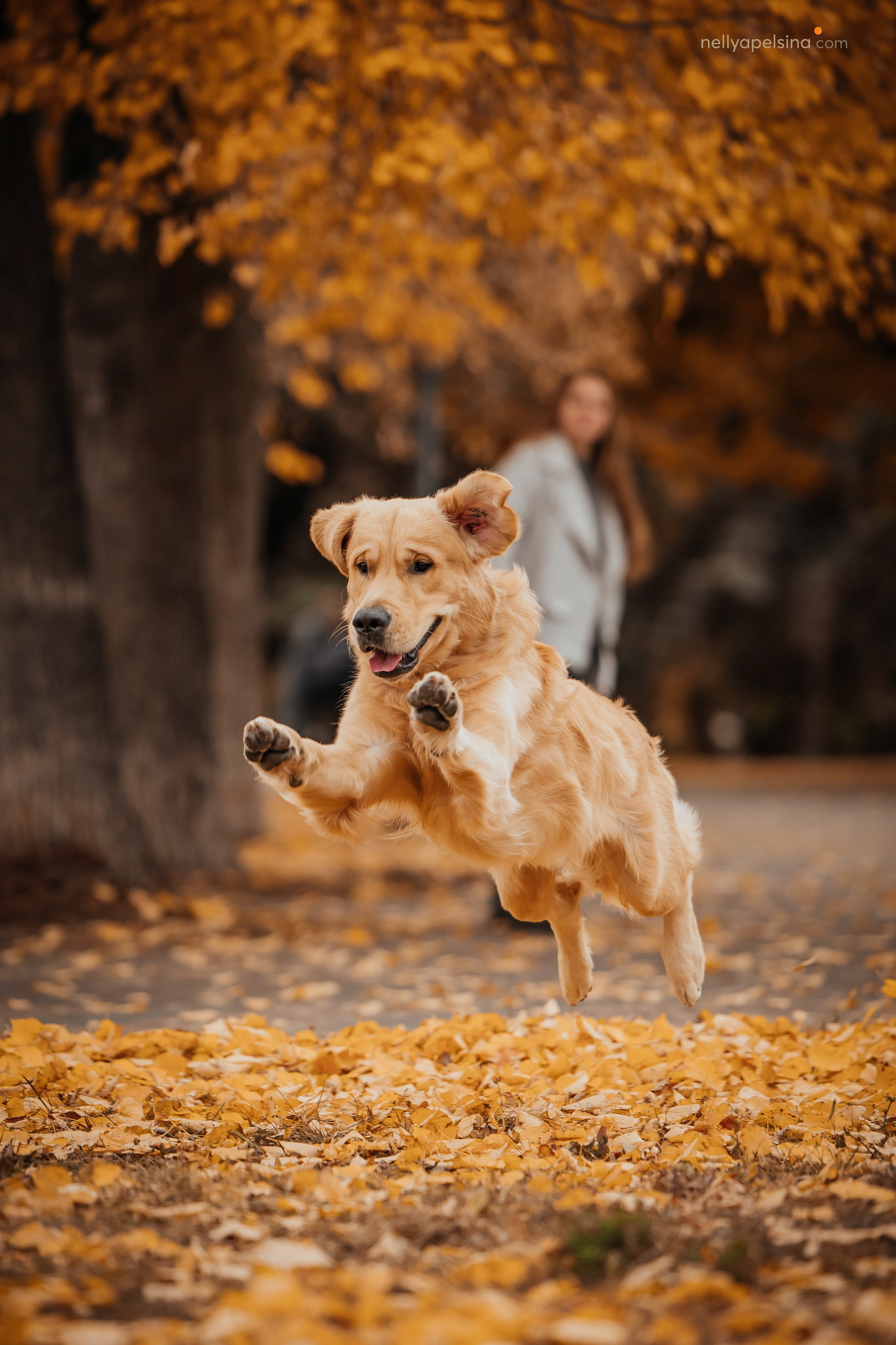 Настя, Дима, Олег и Арчи. Фотограф Нелли Самойлова