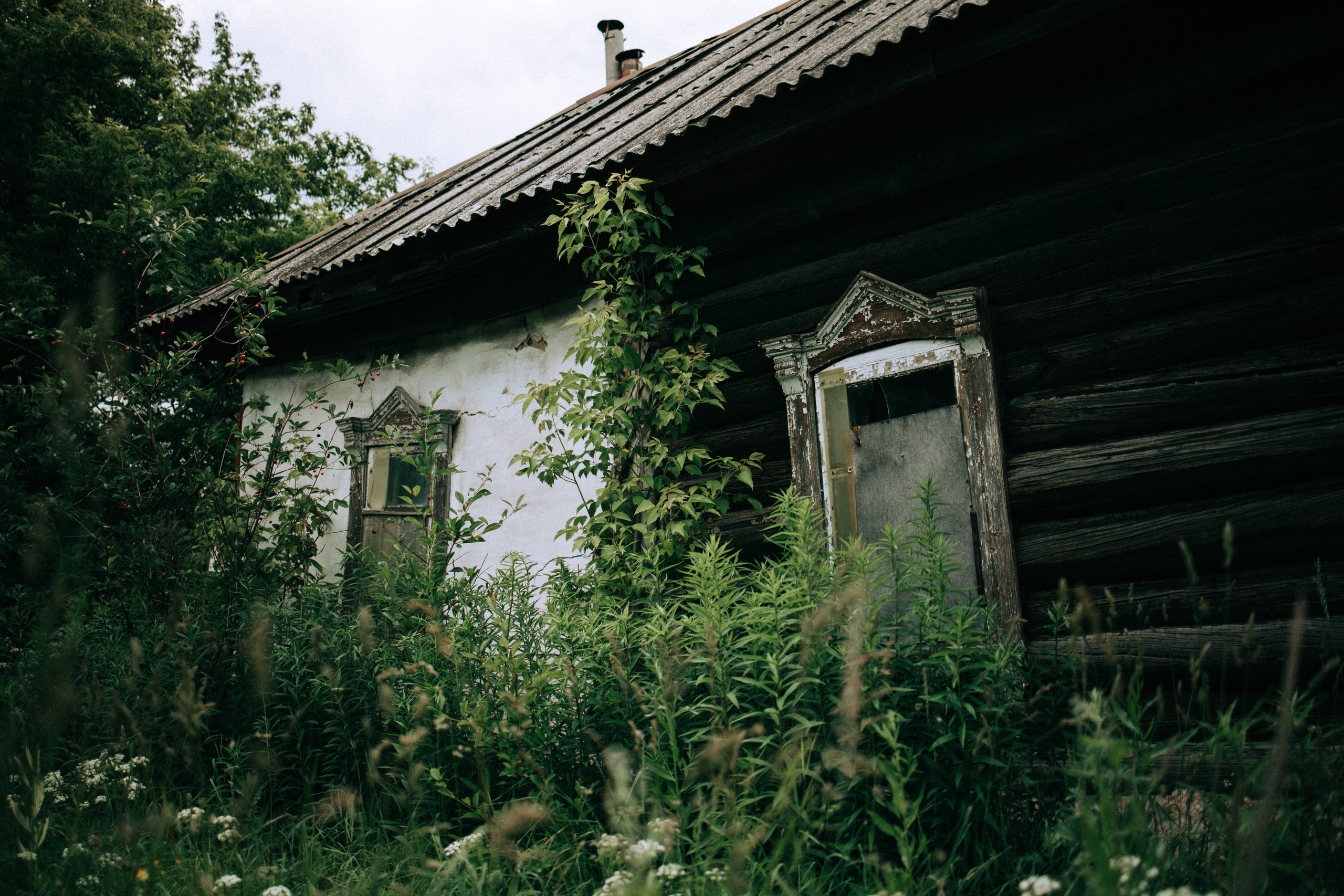 Прогулка по Криволучью. Свадебный и семейный фотограф в Туле и области Маша Костина