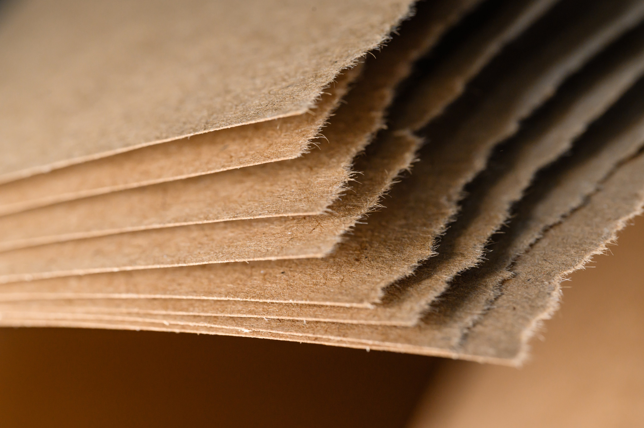 Проекты. Профессиональный фотограф Вячеслав Плацында | Липецк |