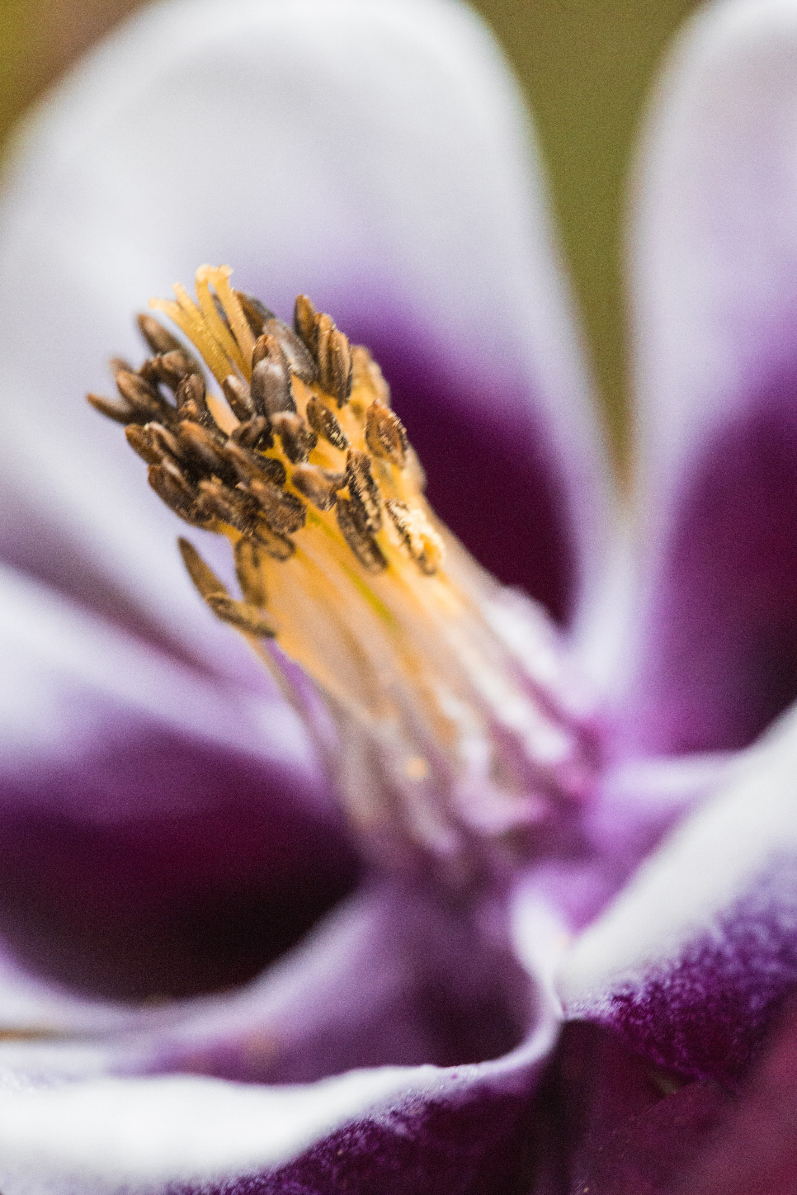 Macro. Фотограф на Юге России