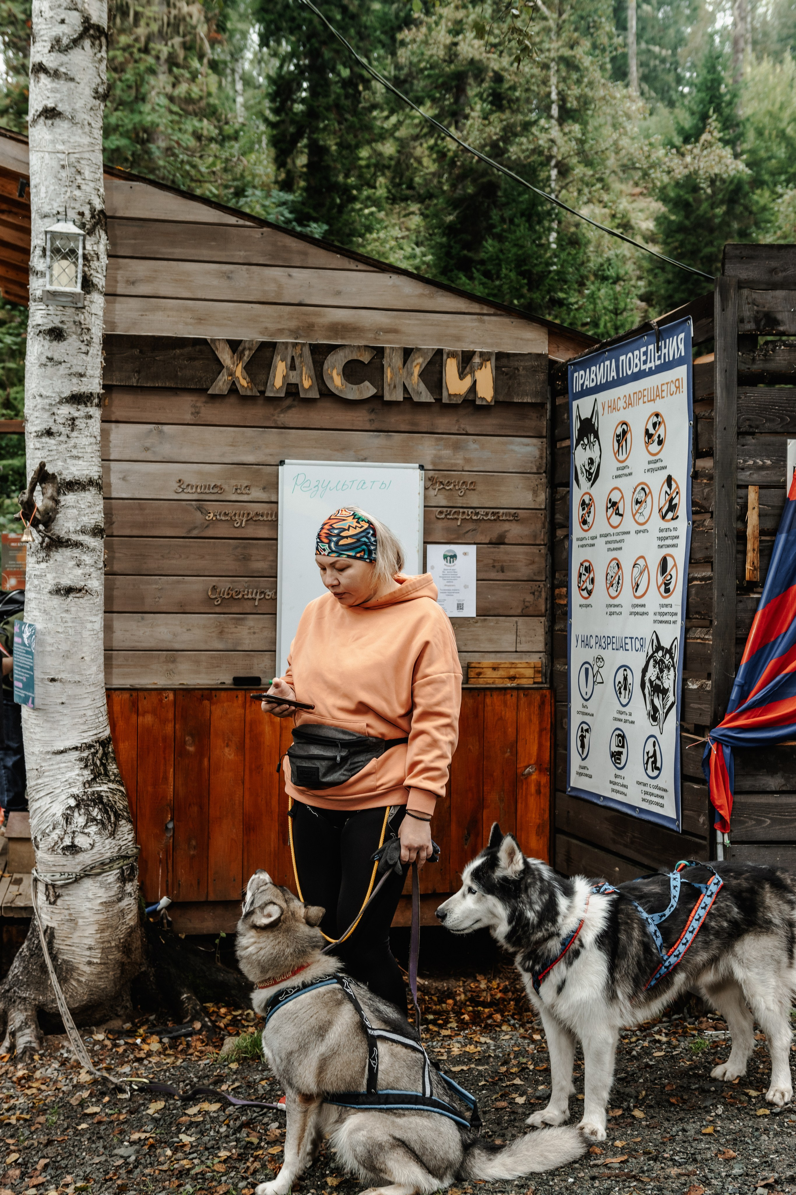 Дог-треккинг