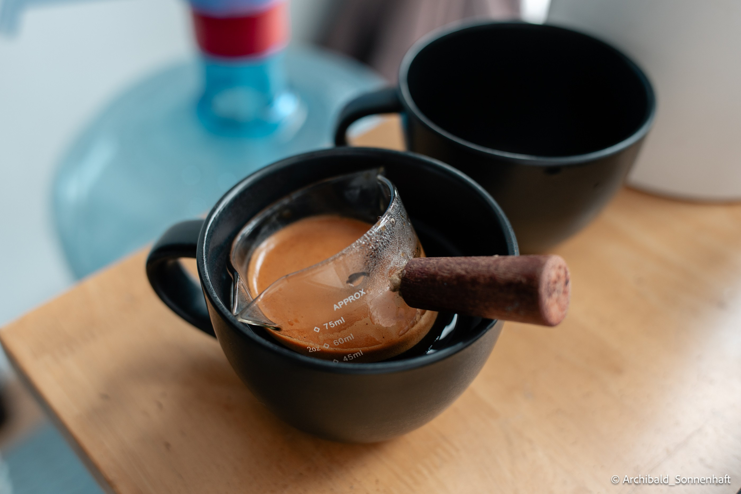 Cat, squirrel, japanese food and stand-up. Photographer in Guangzhou, China. Archibald Sonnenhaft