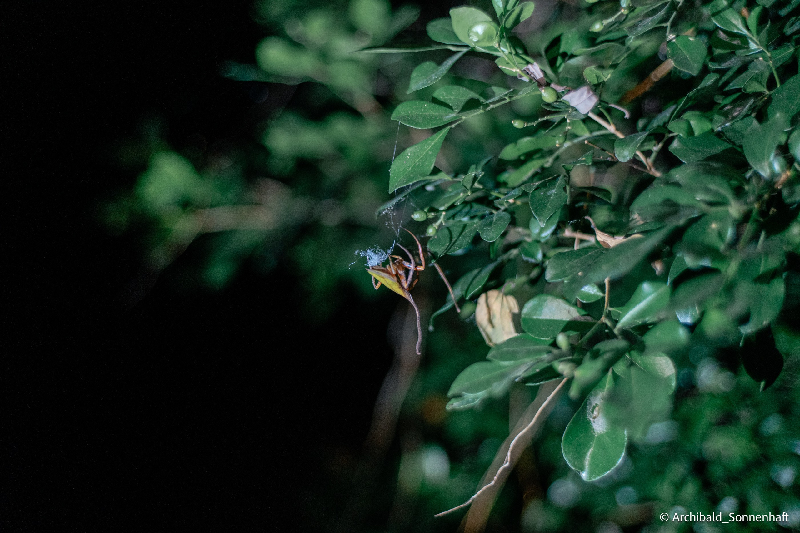 Kayaking in Huizhou, China. Photographer in Guangzhou, China. Archibald Sonnenhaft