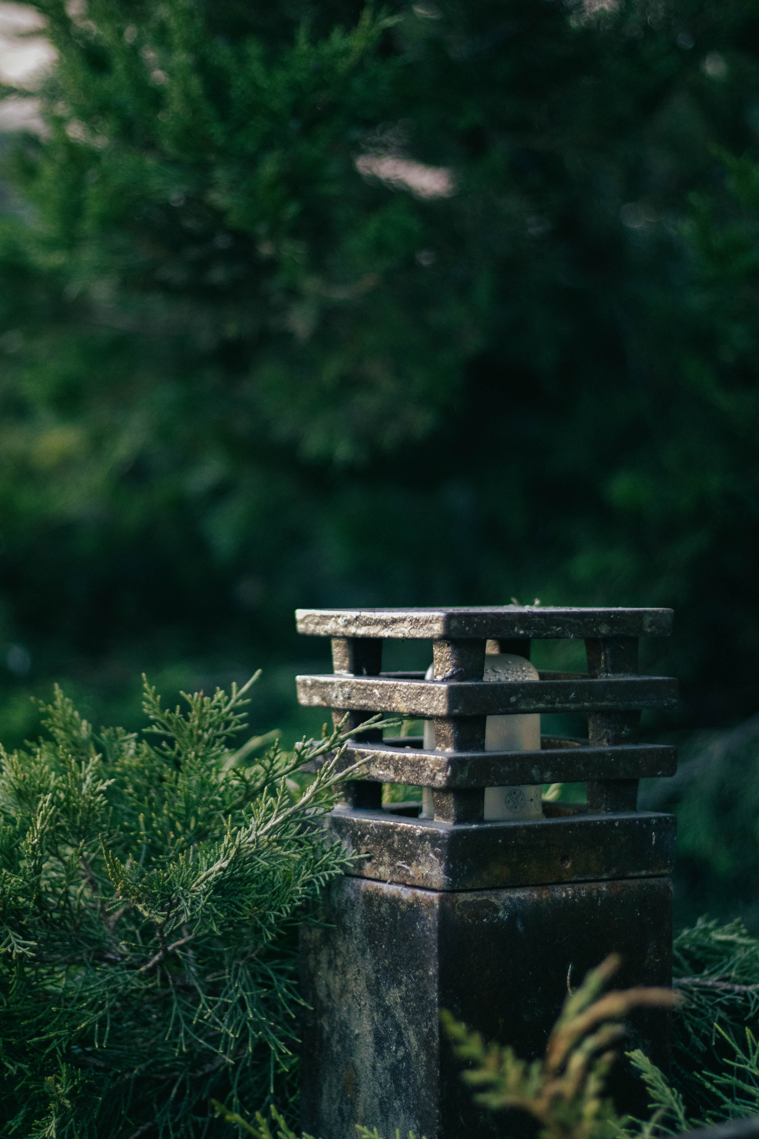 Стрит. Фотограф и кожевник Кирилл Удалов