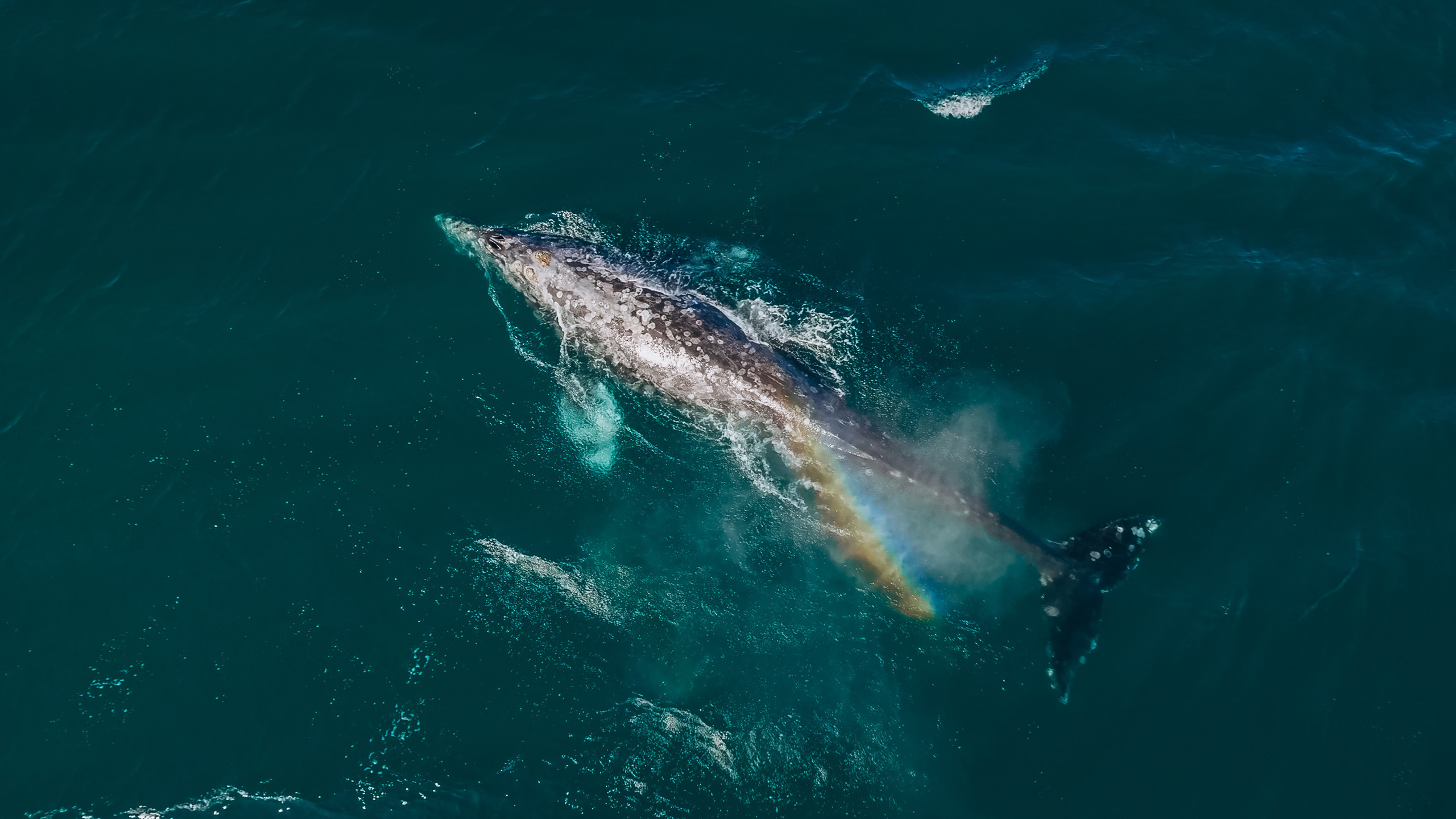 Airphoto. Николай Филиппов Event & Concert Photographer Москвf