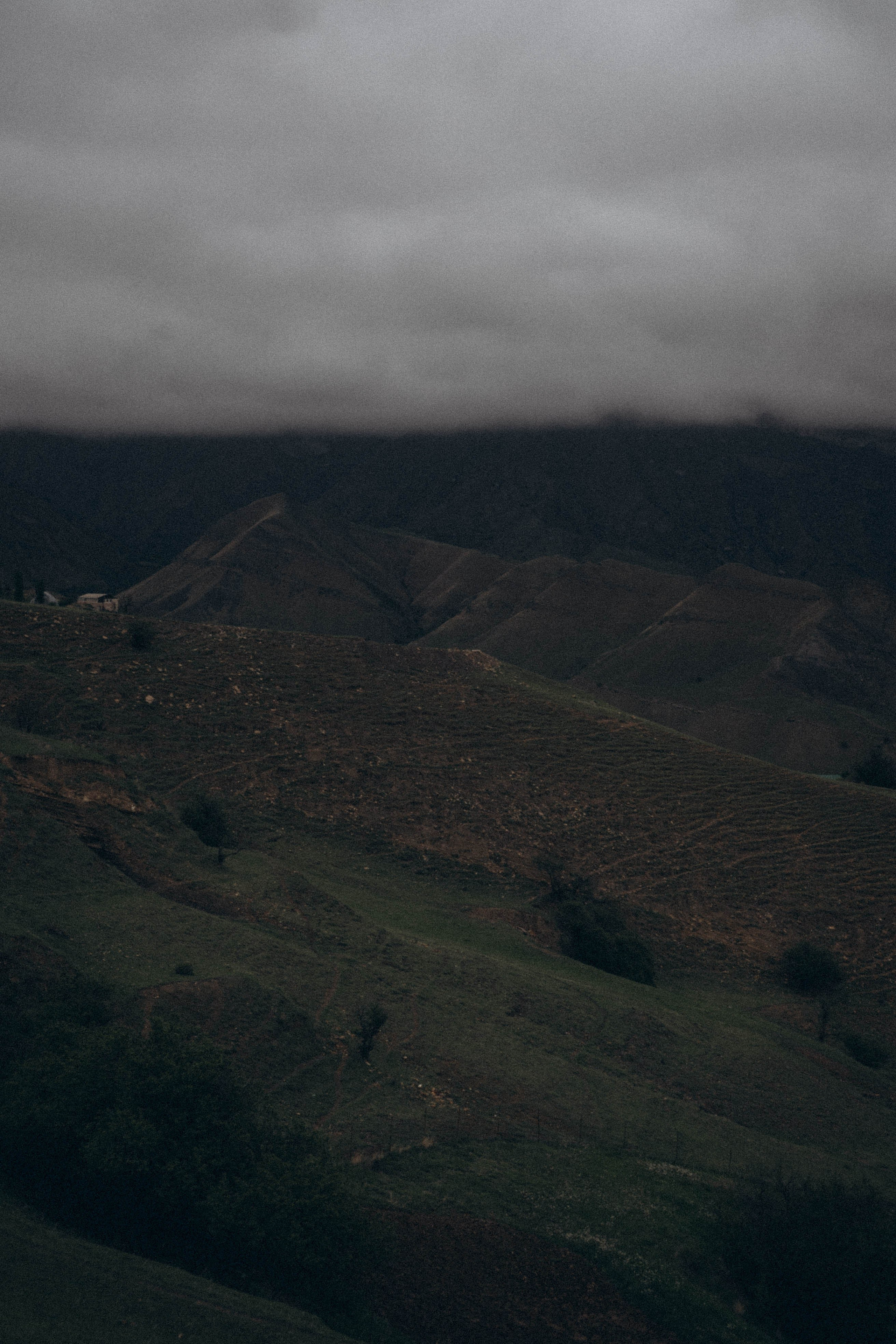 Кавказ. Профессиональный фотограф, Санкт-Петербург — Виктория Богомолова