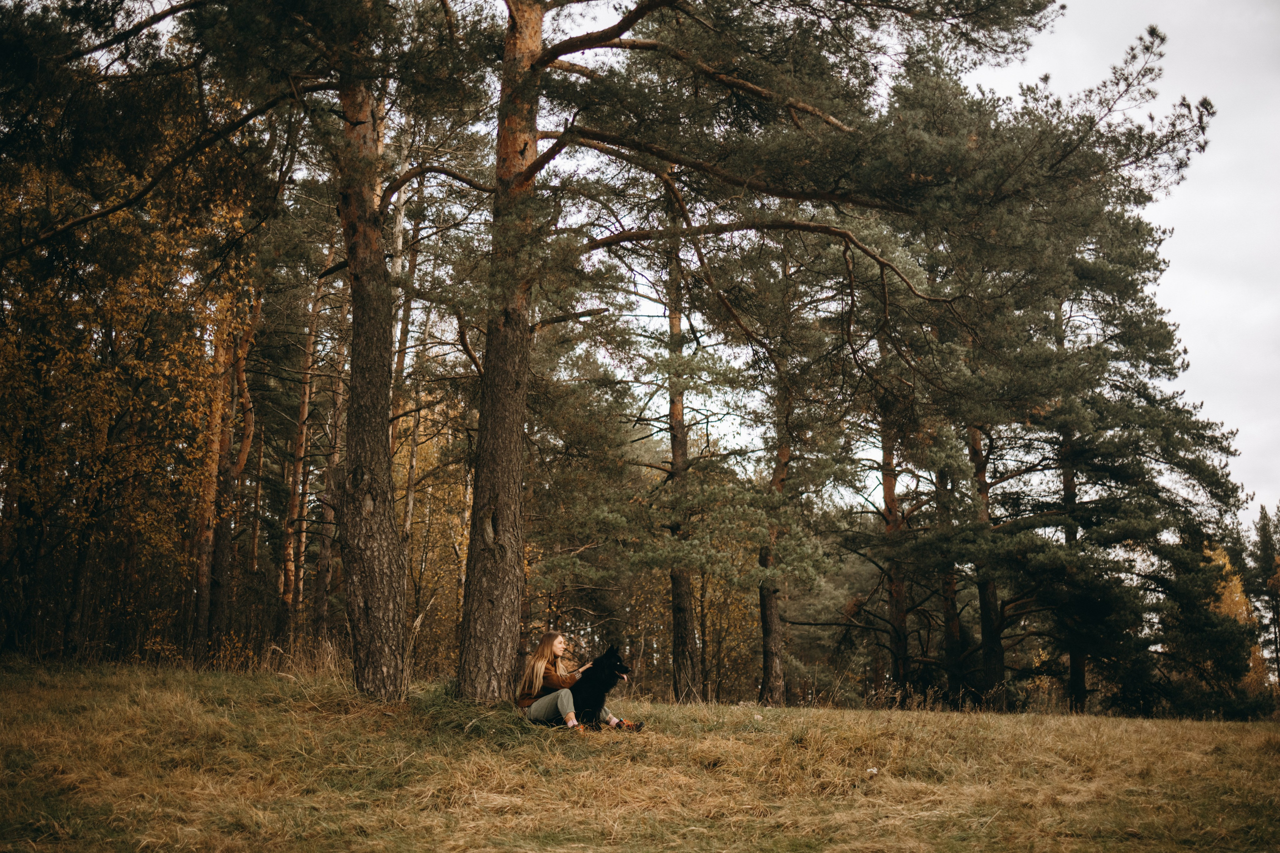 Лора и Джанго. Фотограф — Анималист | Санкт-Петербург