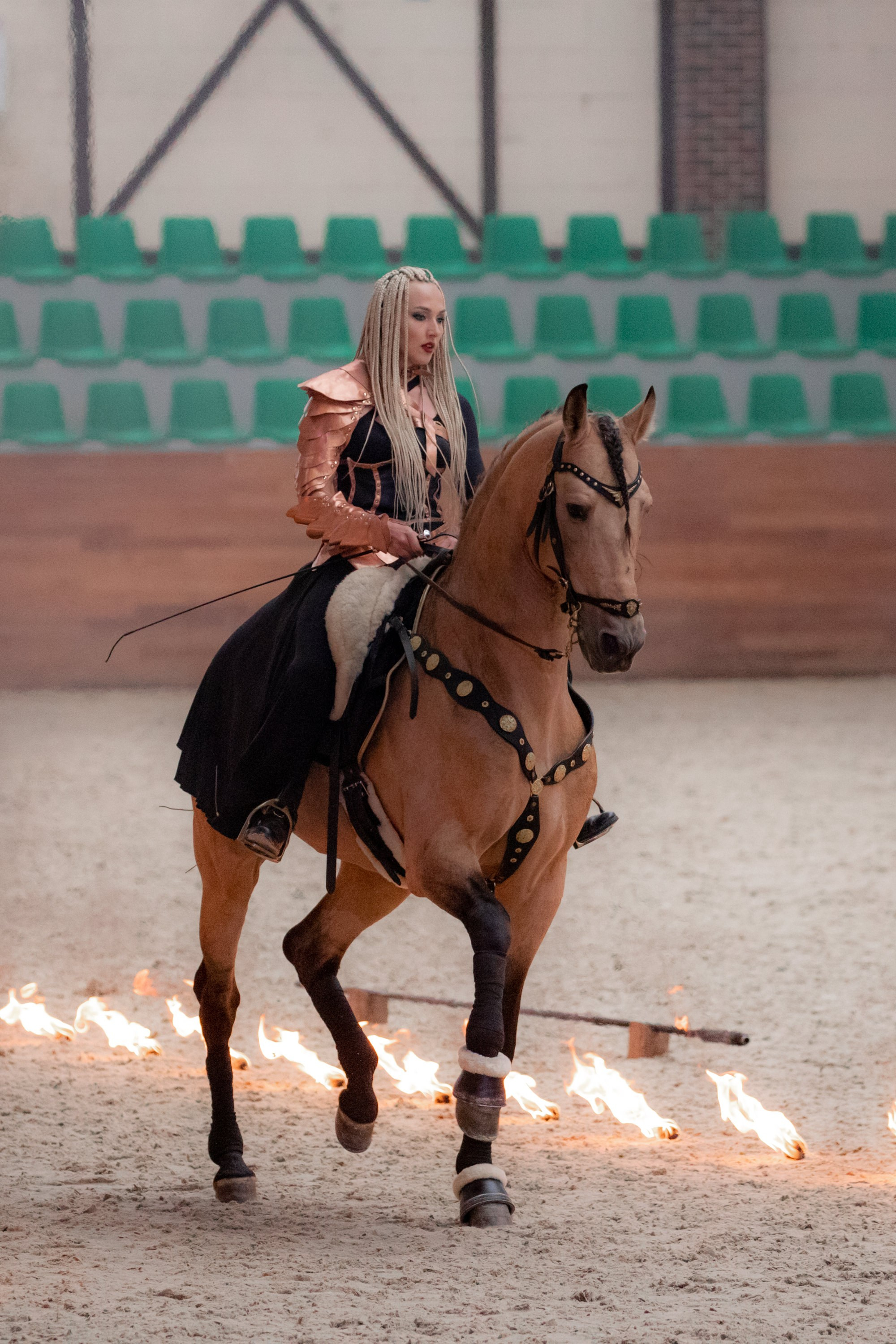 Конные выставки. Mrs.Aquarelia Конный фотограф Марианна Леонтьева