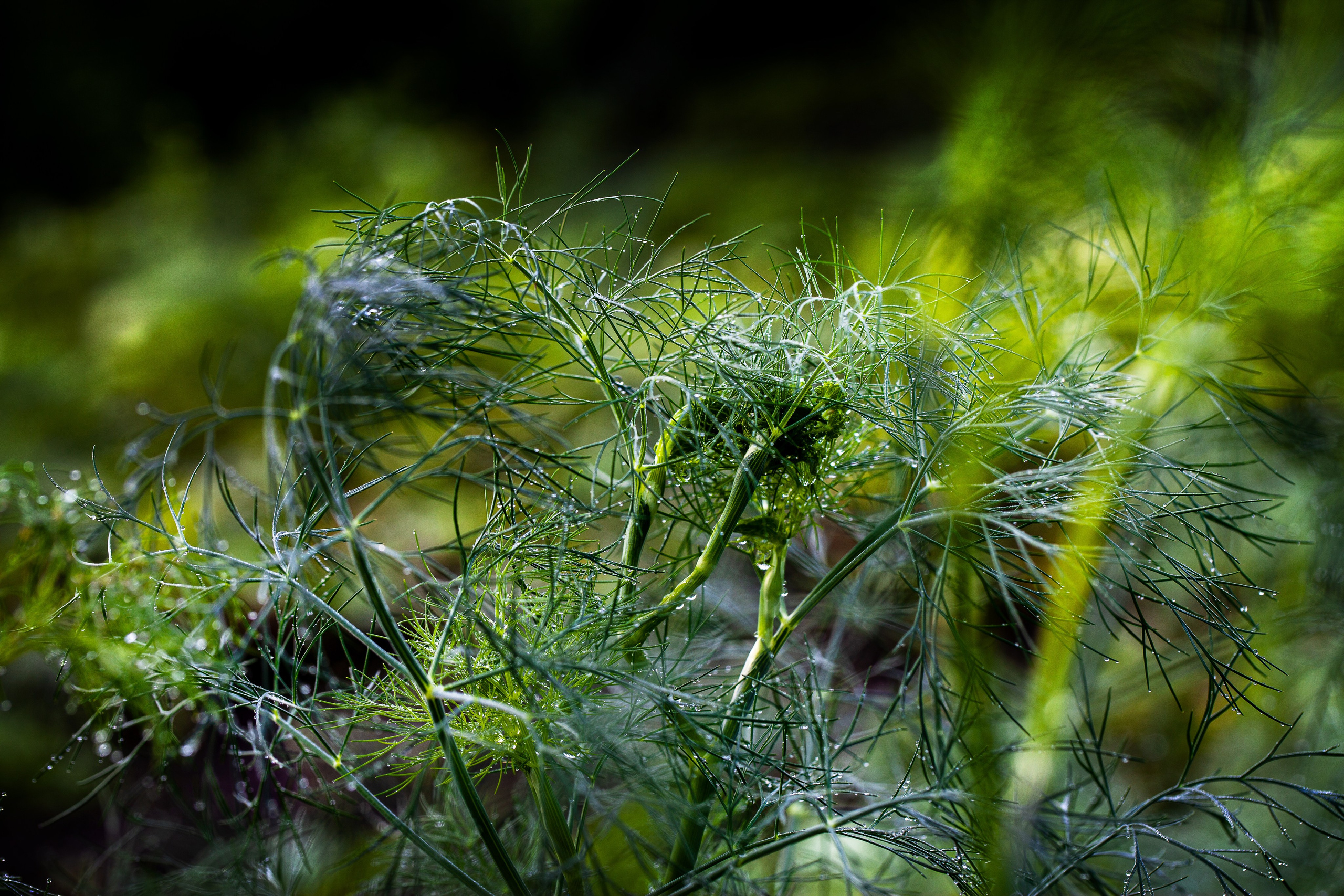 Красота вокруг нас. Медиапродюсер, фотограф в Минеральных Водах —Виктор Холодов