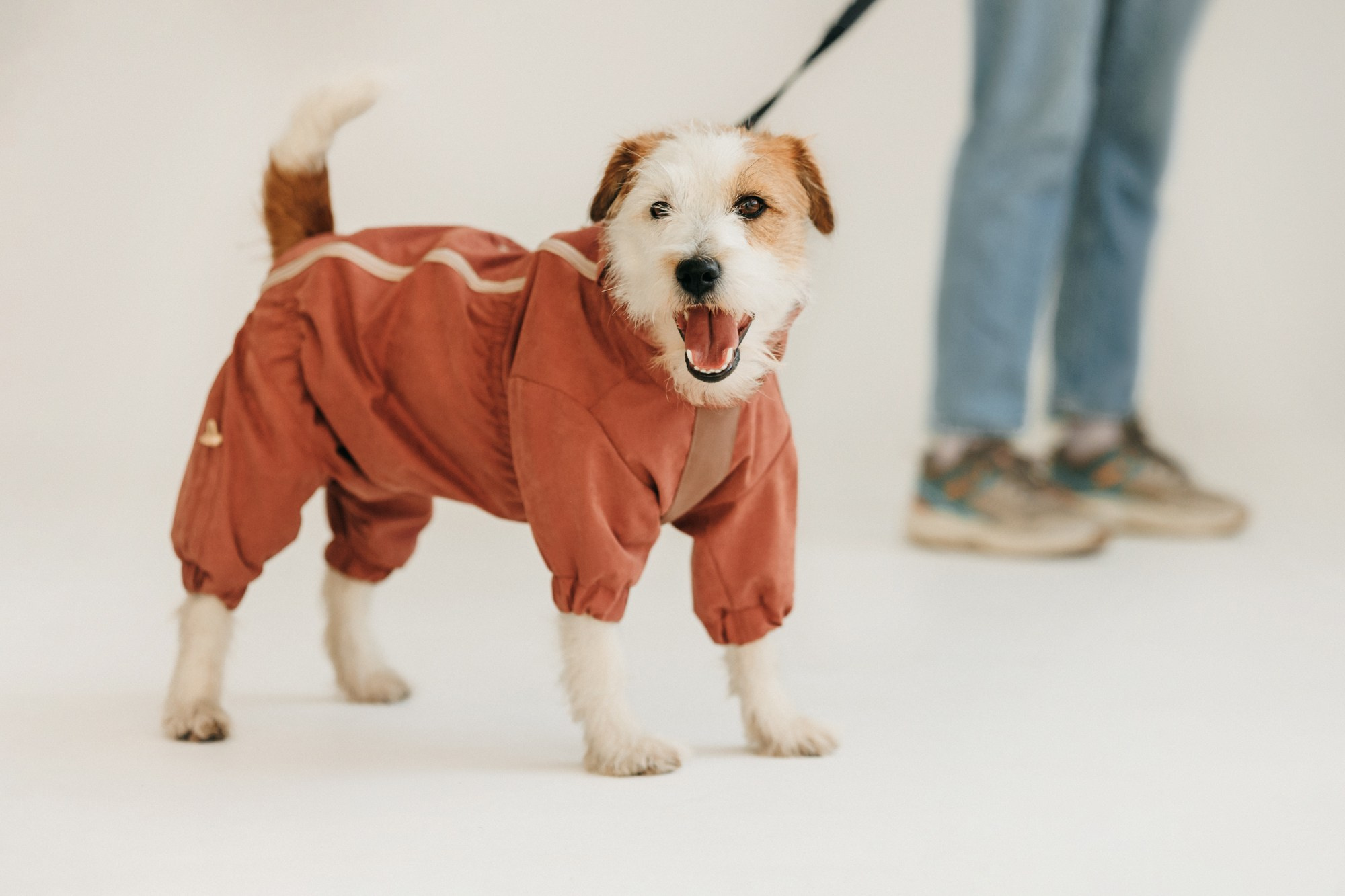 Одежда Lapa`s brand. Фотограф-анималист Елена Радченко, Москва