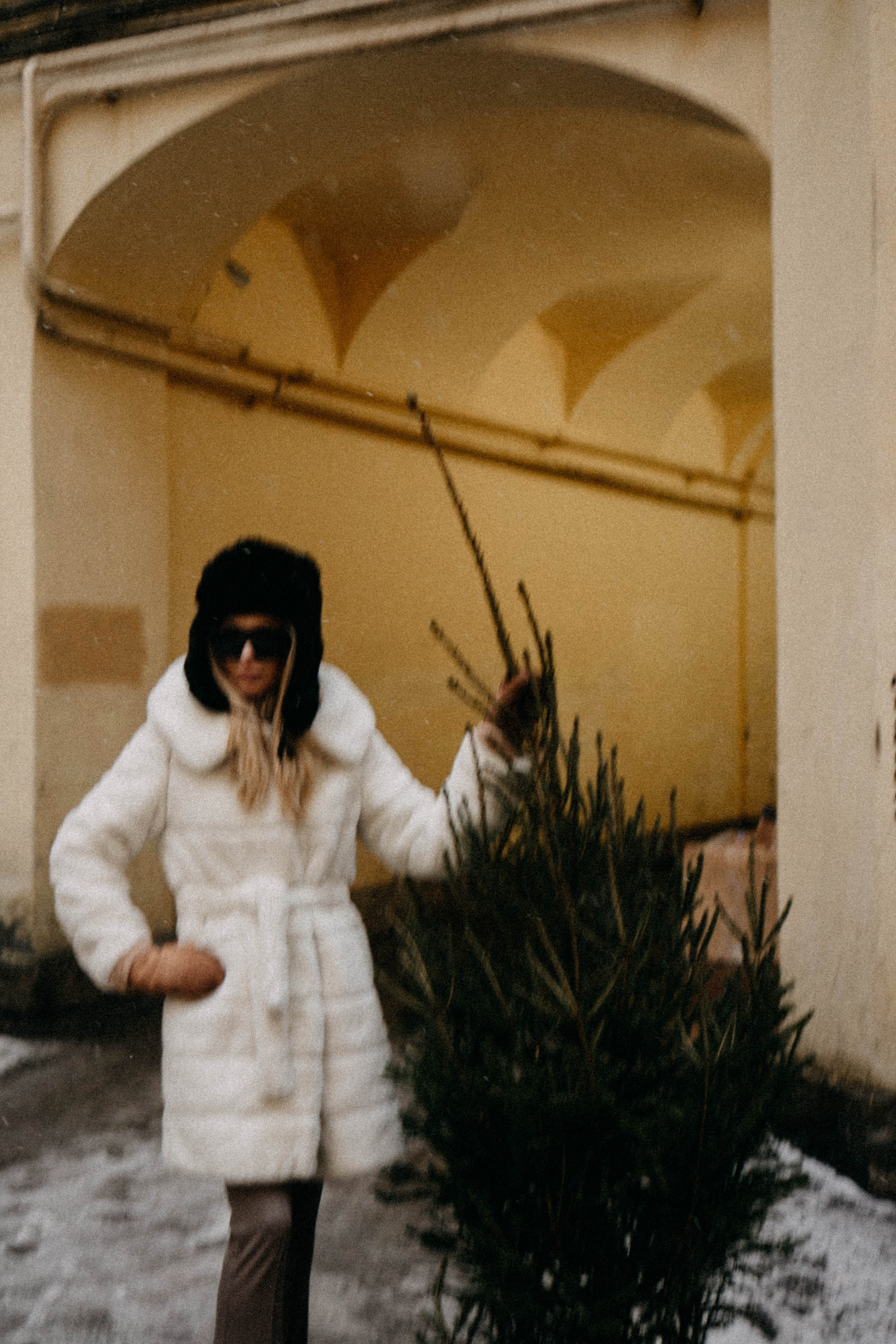 Новогодняя. Профессиональный фотограф, Санкт-Петербург — Виктория Богомолова