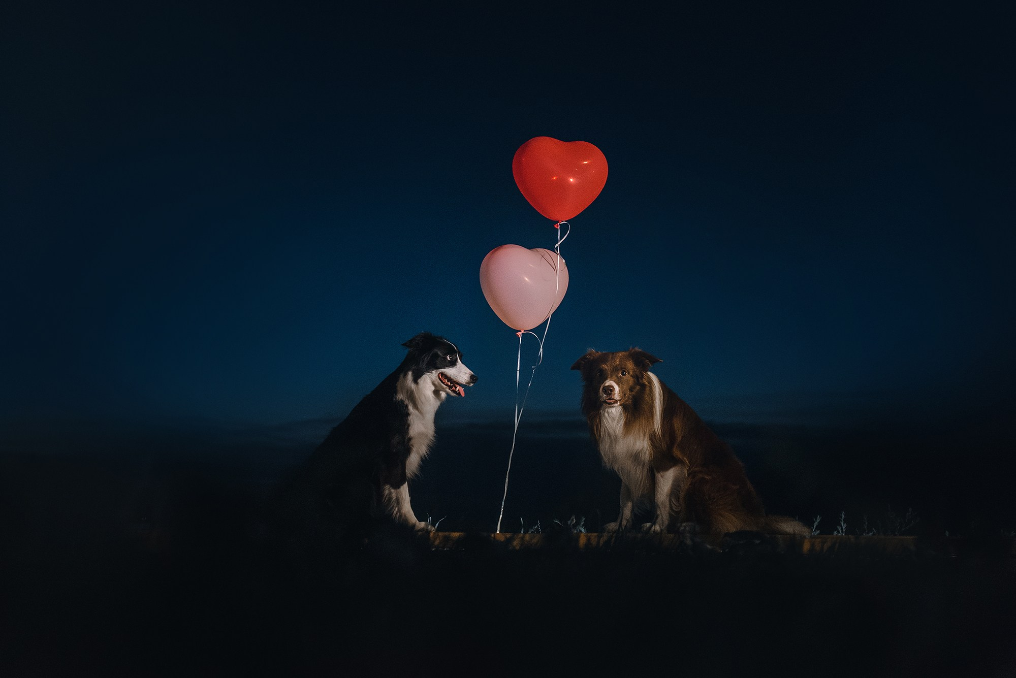 Чистое творчество. Фотограф Анна Тюрина