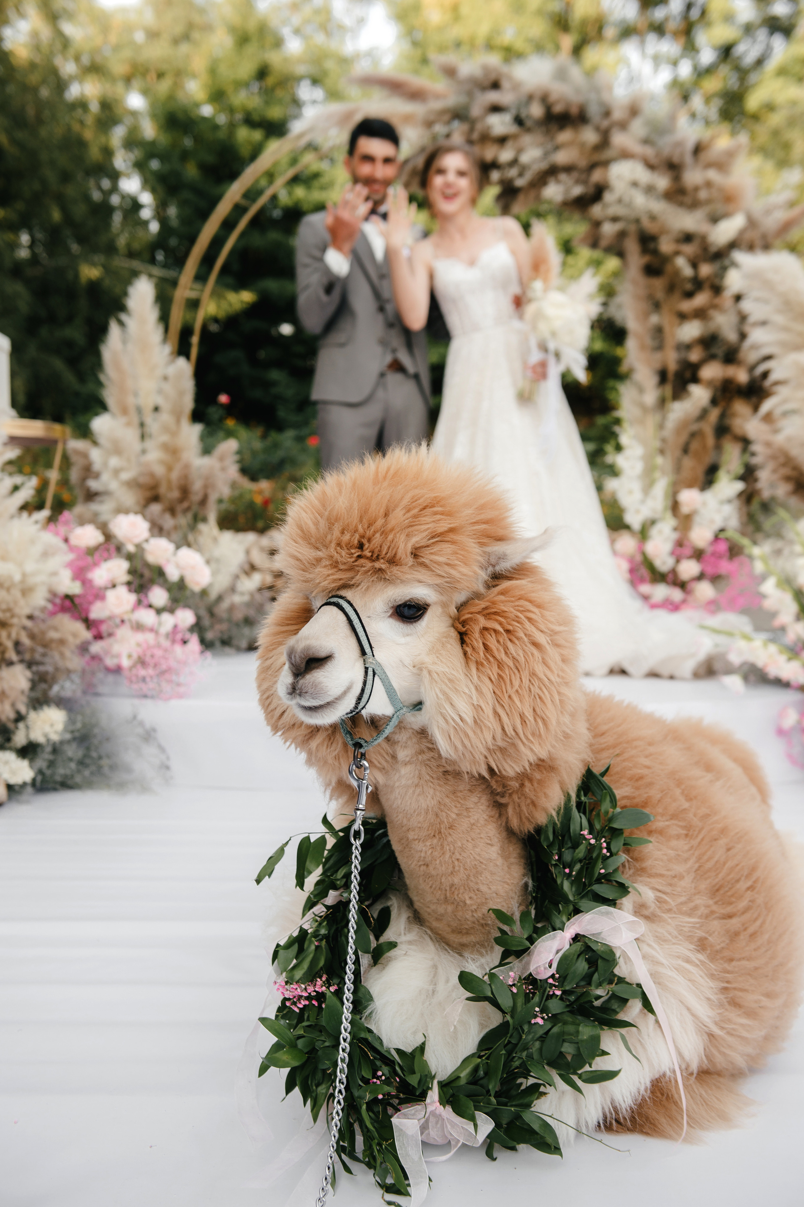 Семен и Анна. Свадебный организатор в Ростове-на-Дону Яснов Роман