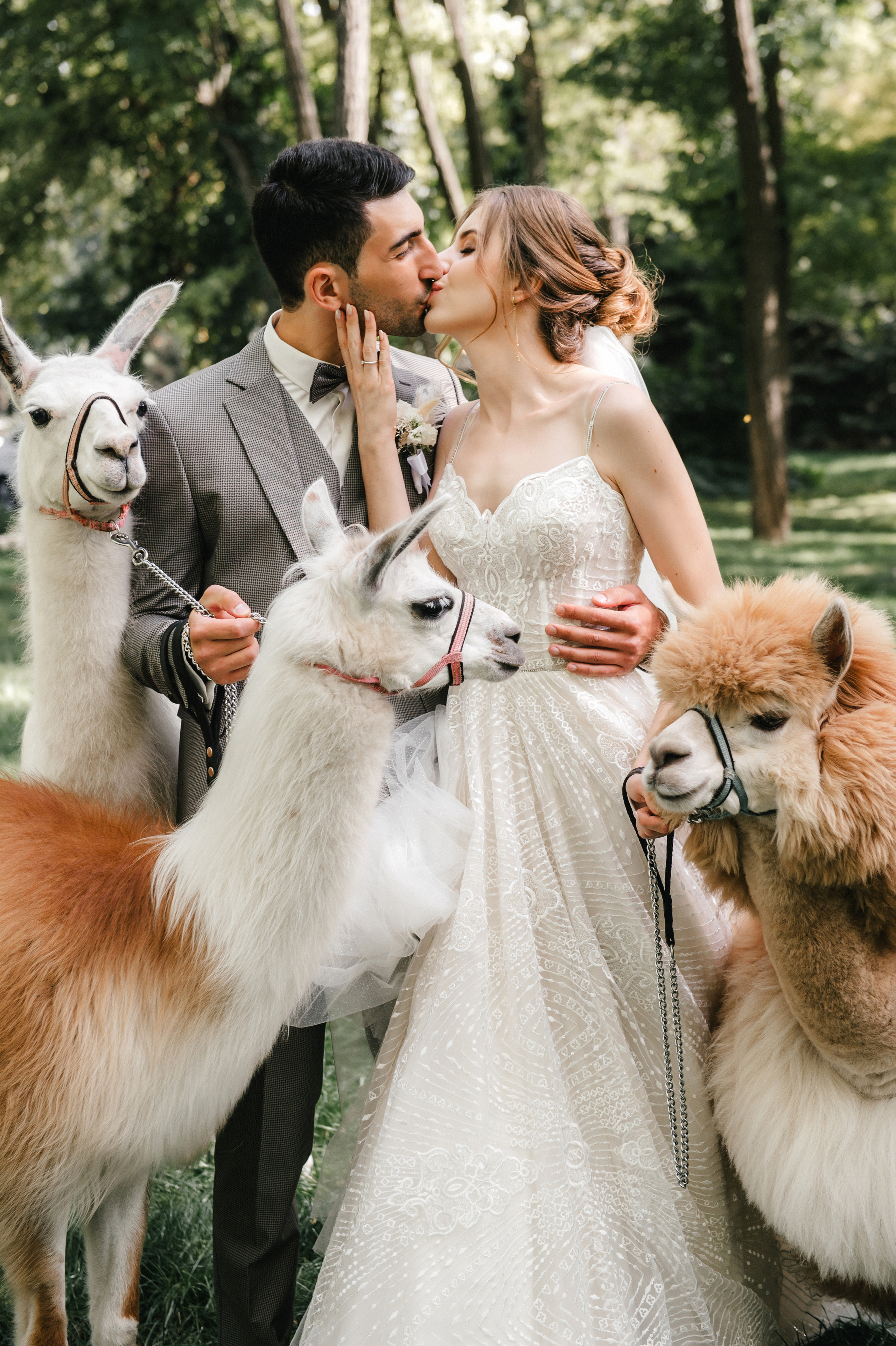 Семен и Анна. Свадебный организатор в Ростове-на-Дону Яснов Роман