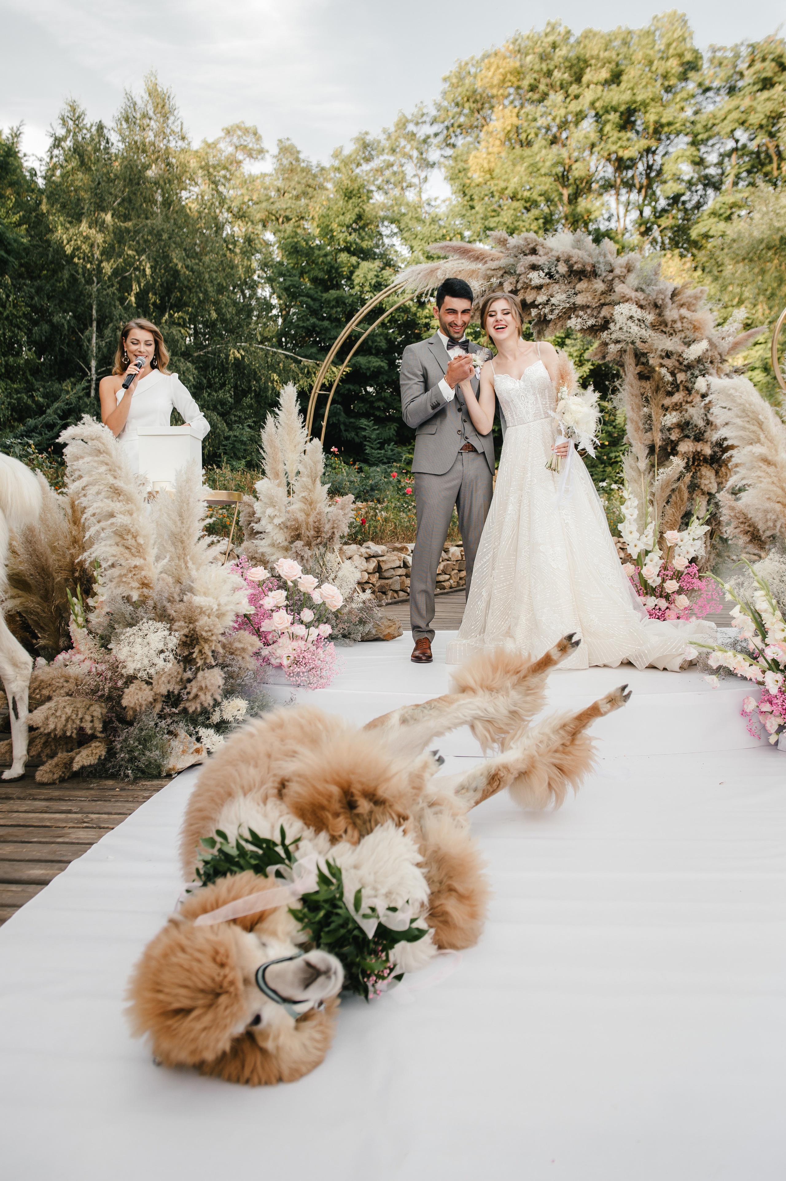 Семен и Анна. Свадебный организатор в Ростове-на-Дону Яснов Роман