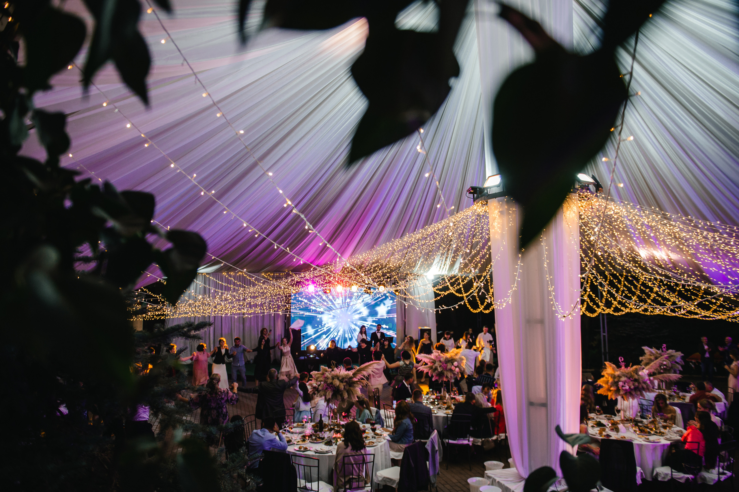 Семен и Анна. Свадебный организатор в Ростове-на-Дону Яснов Роман