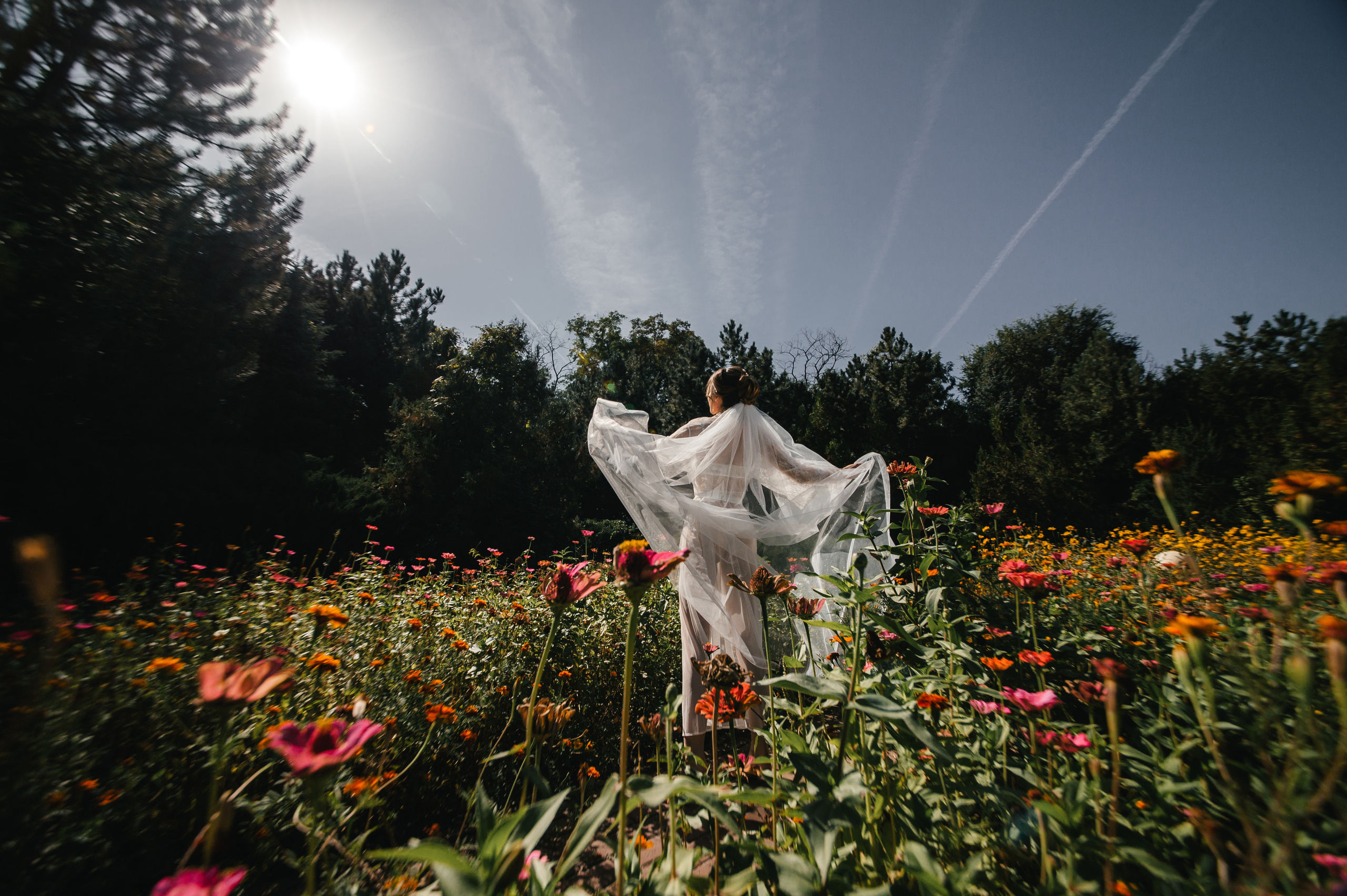 Семен и Анна. Свадебный организатор в Ростове-на-Дону Яснов Роман