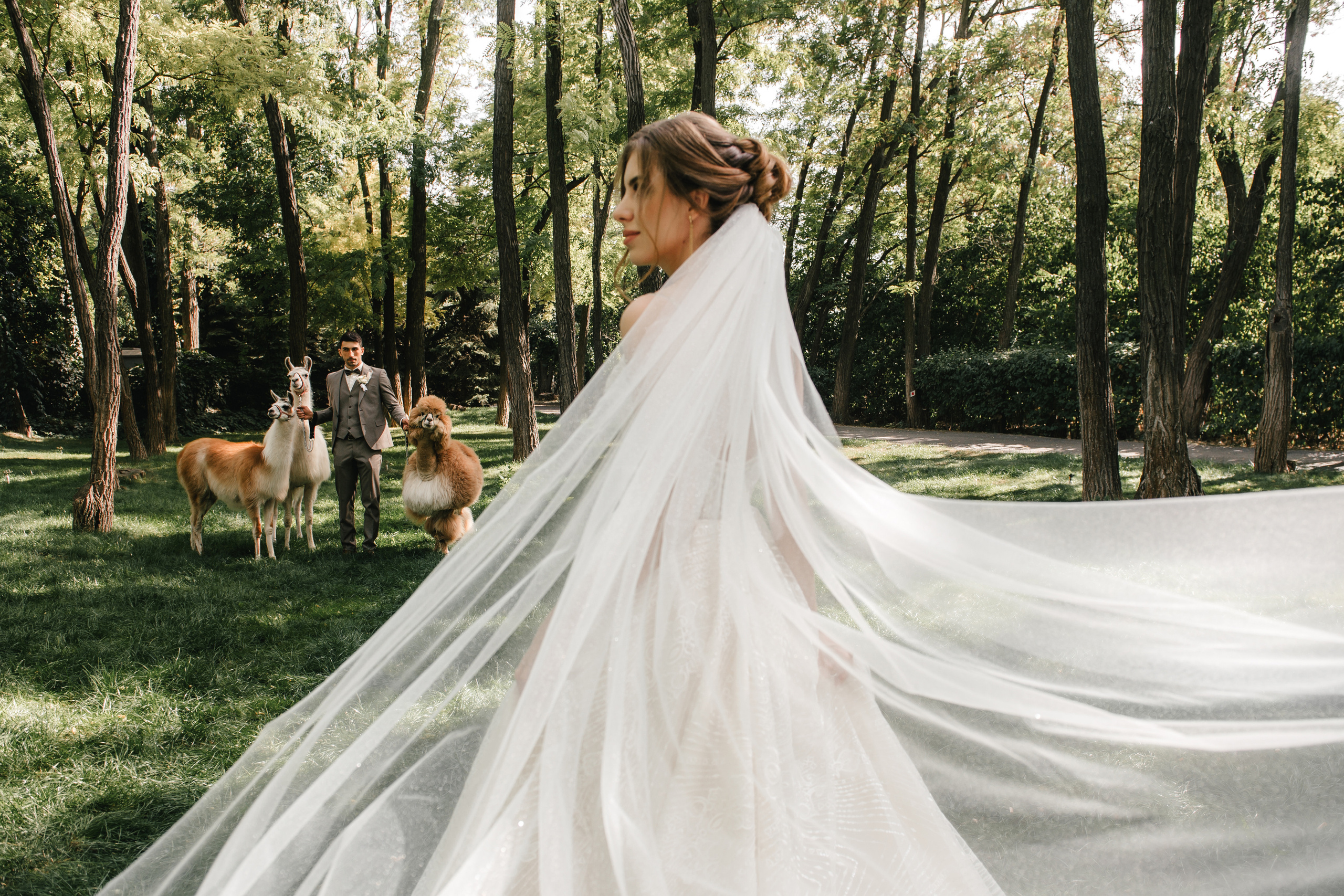 Семен и Анна. Свадебный организатор в Ростове-на-Дону Яснов Роман