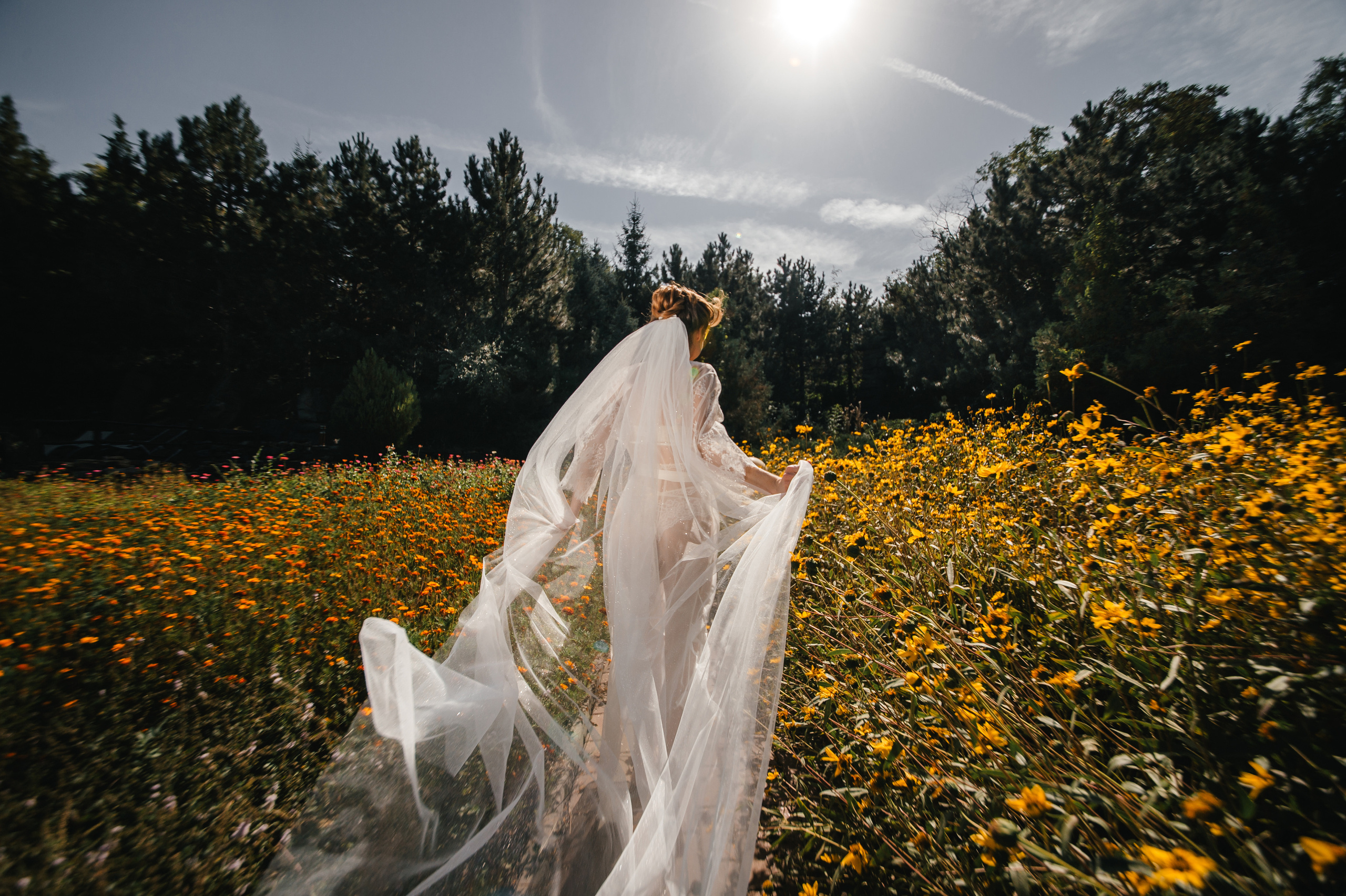 Семен и Анна. Свадебный организатор в Ростове-на-Дону Яснов Роман