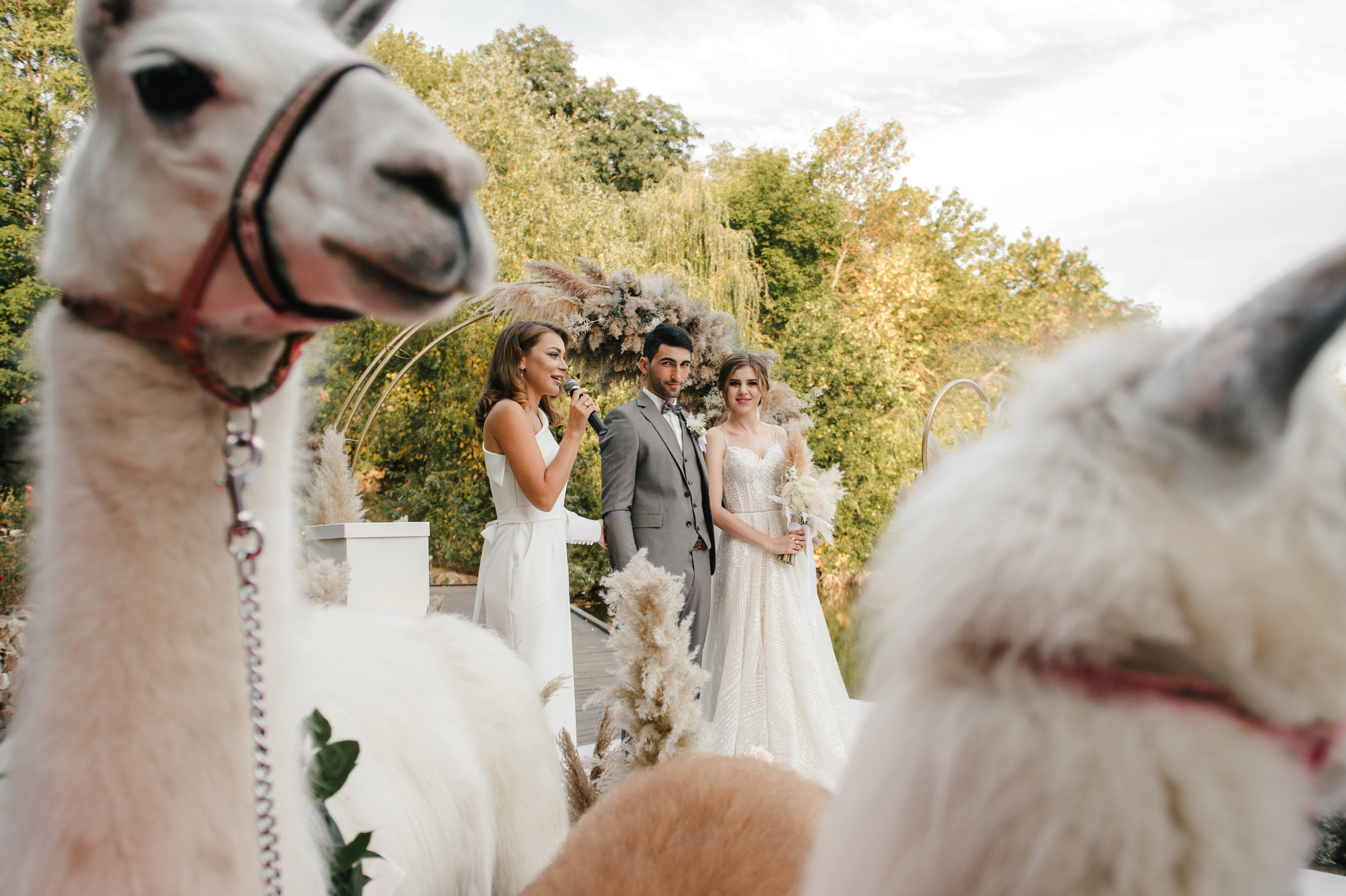 Семен и Анна. Свадебный организатор в Ростове-на-Дону Яснов Роман