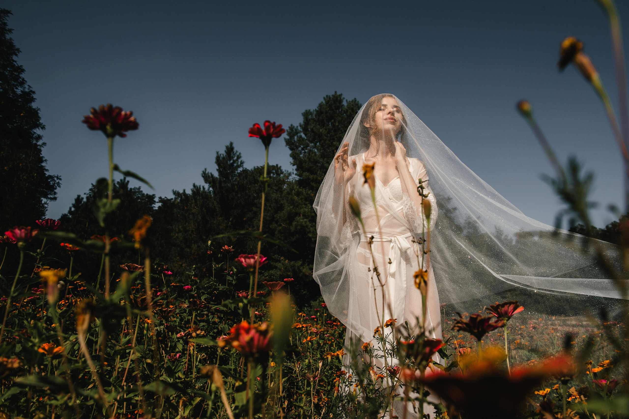 Семен и Анна. Свадебный организатор в Ростове-на-Дону Яснов Роман