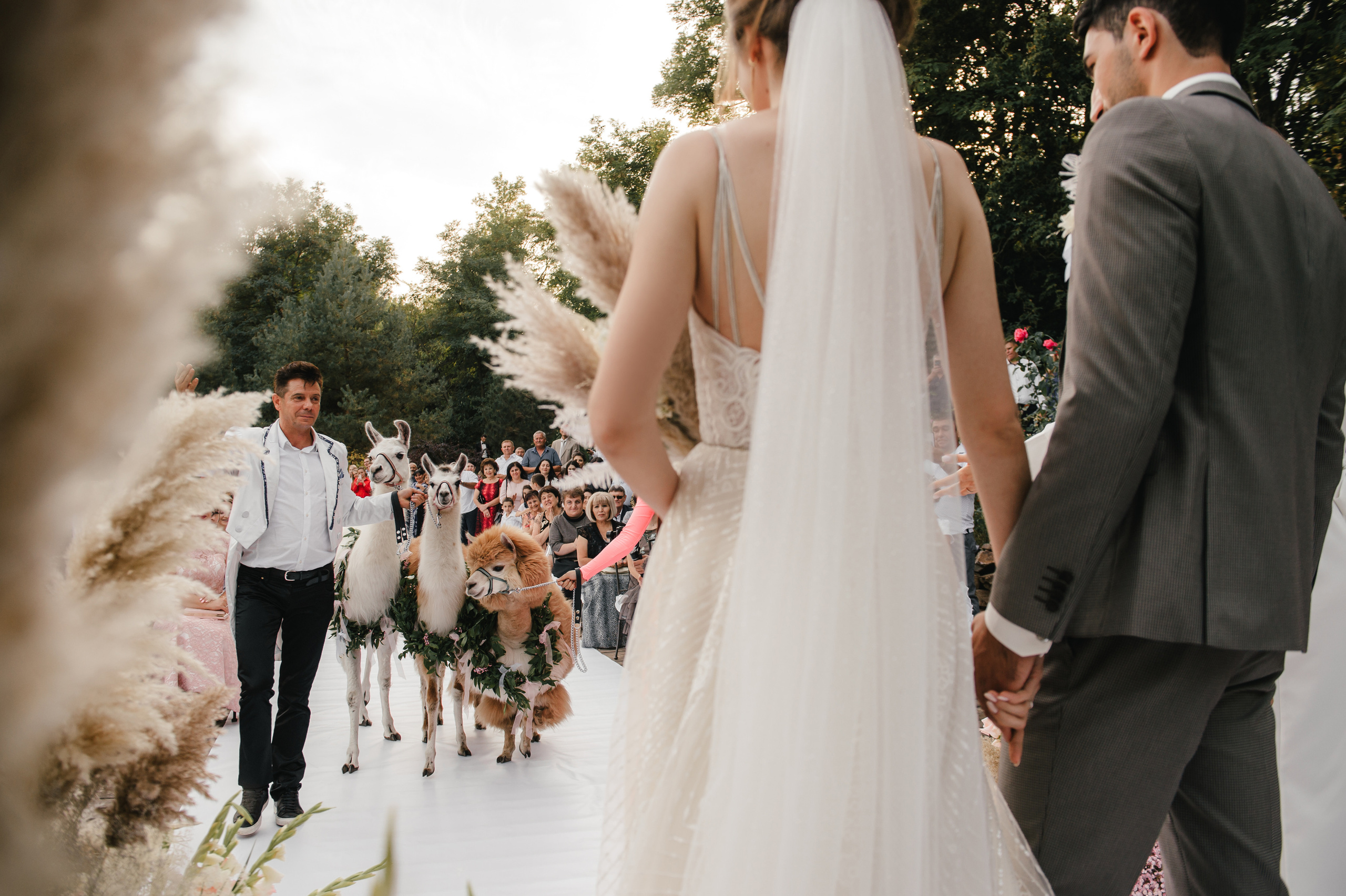 Семен и Анна. Свадебный организатор в Ростове-на-Дону Яснов Роман