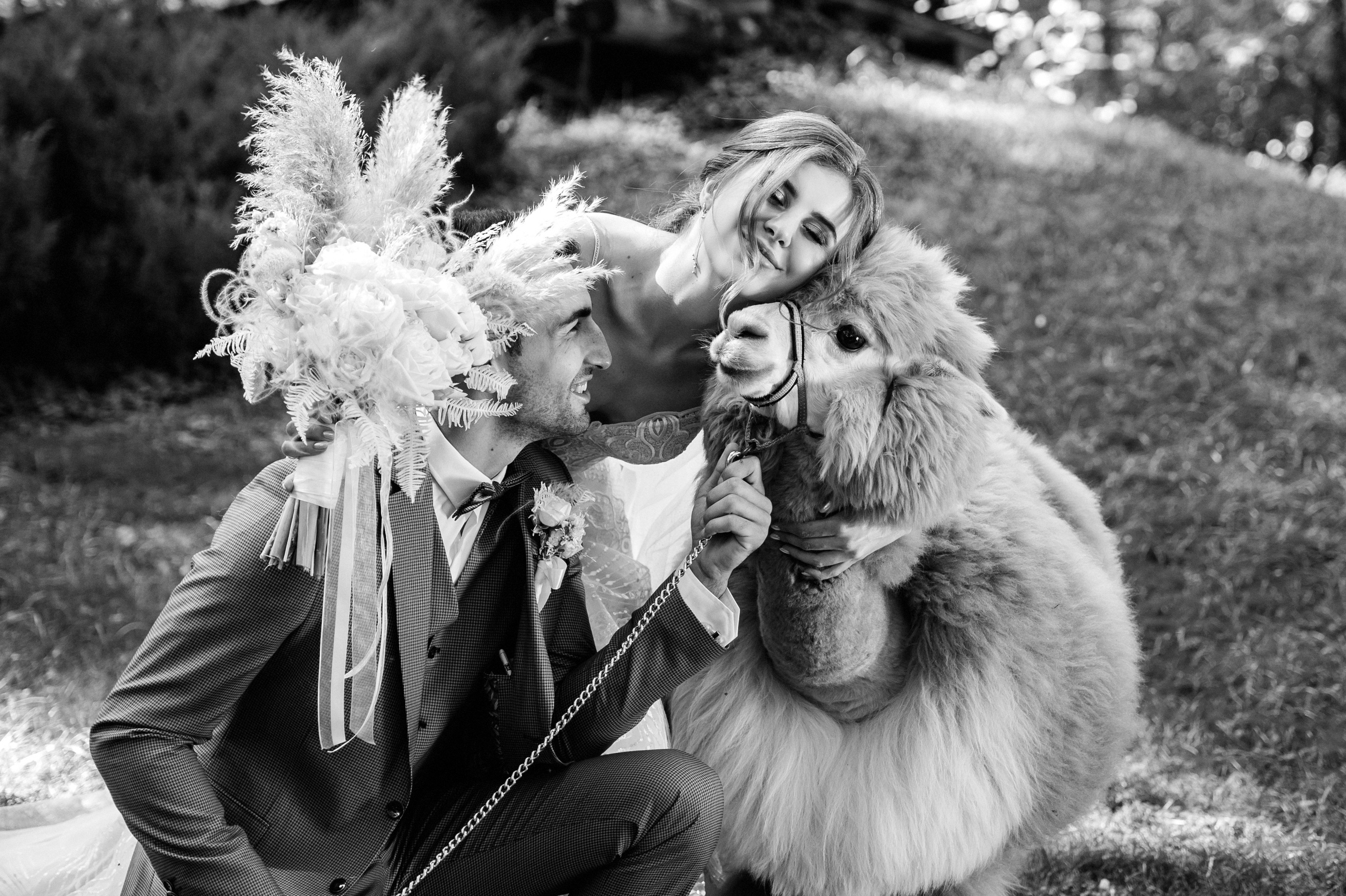 Семен и Анна. Свадебный организатор в Ростове-на-Дону Яснов Роман