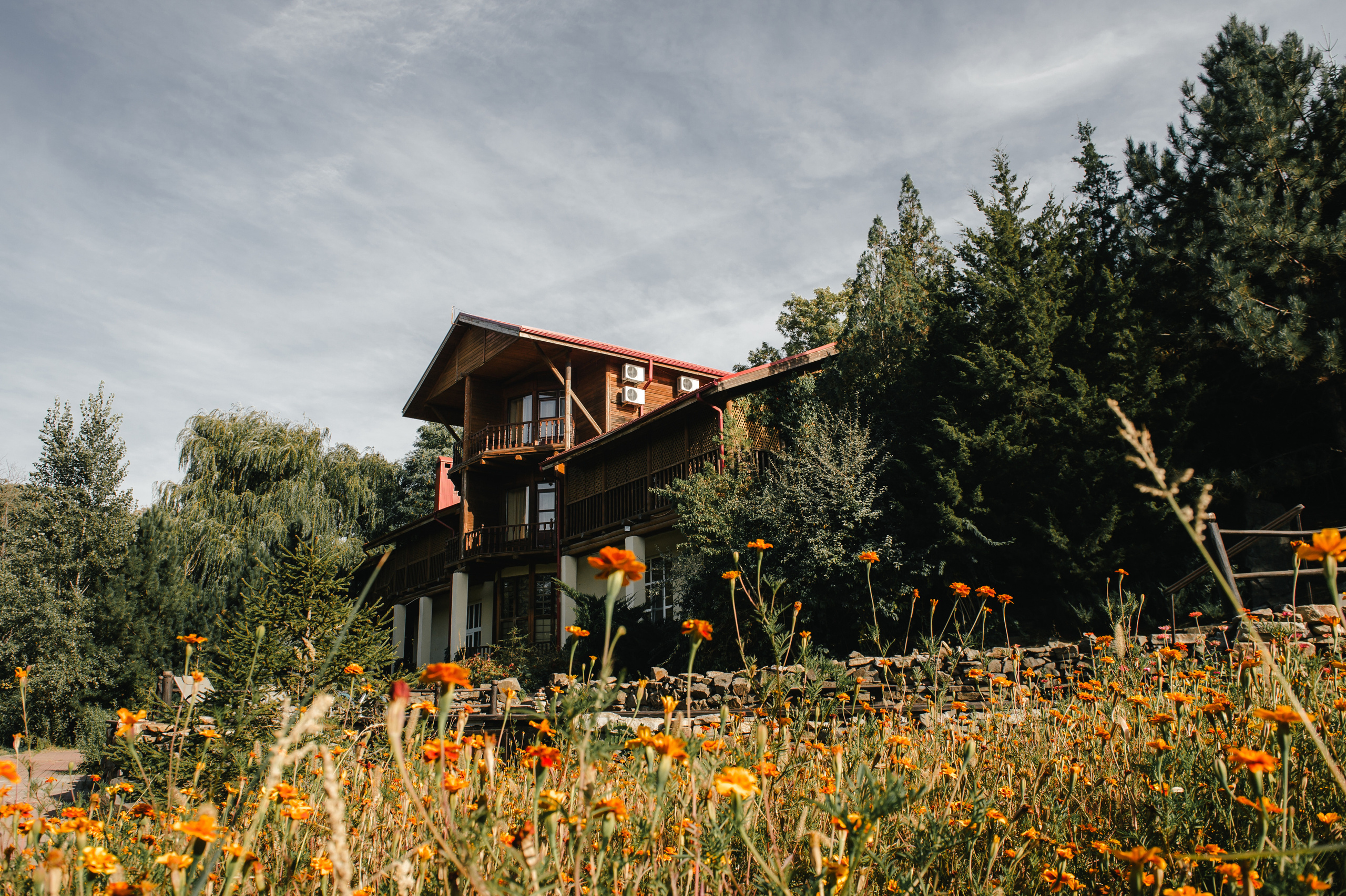 Семен и Анна. Свадебный организатор в Ростове-на-Дону Яснов Роман