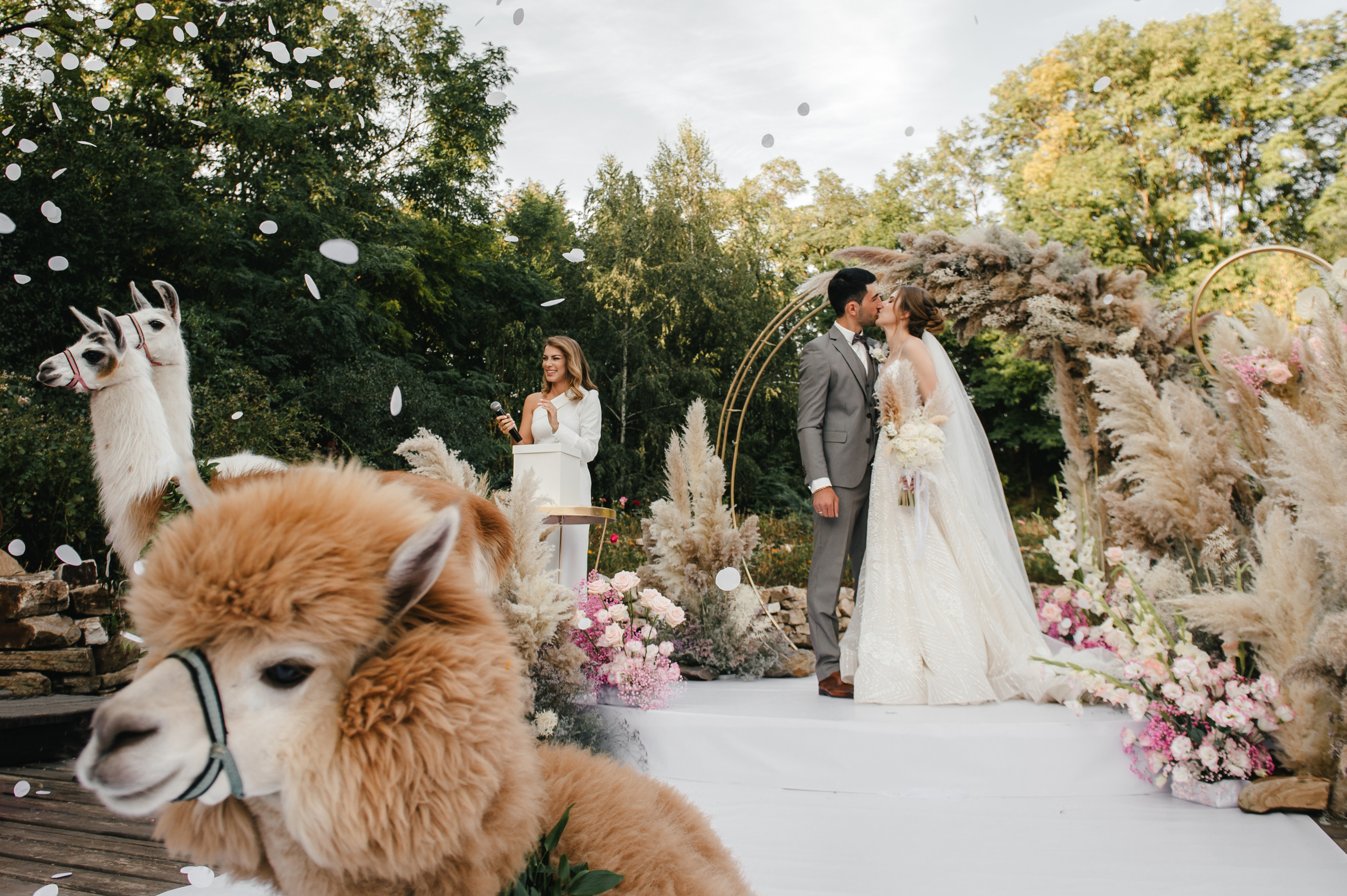 Семен и Анна. Свадебный организатор в Ростове-на-Дону Яснов Роман