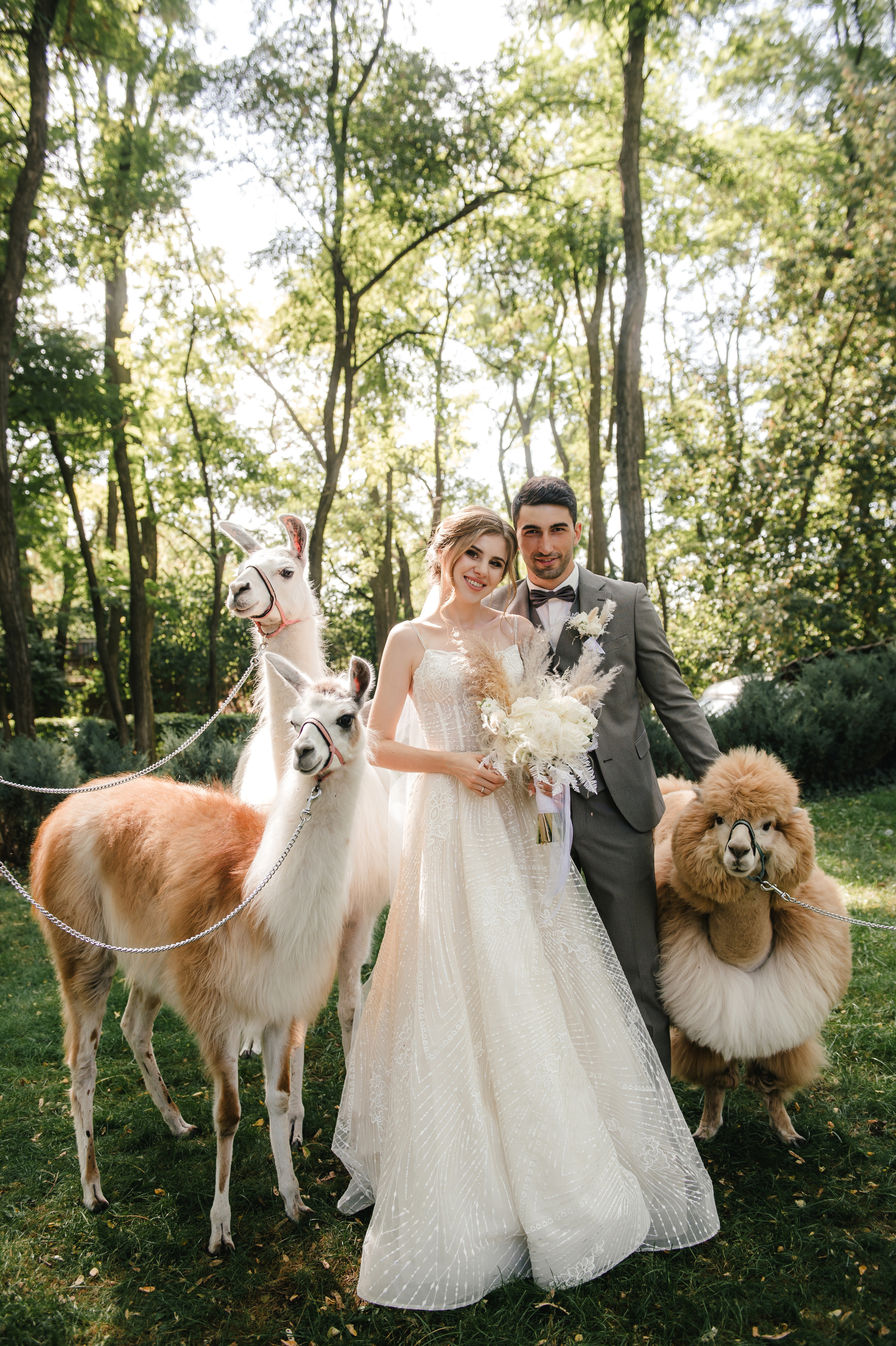 Семен и Анна. Свадебный организатор в Ростове-на-Дону Яснов Роман