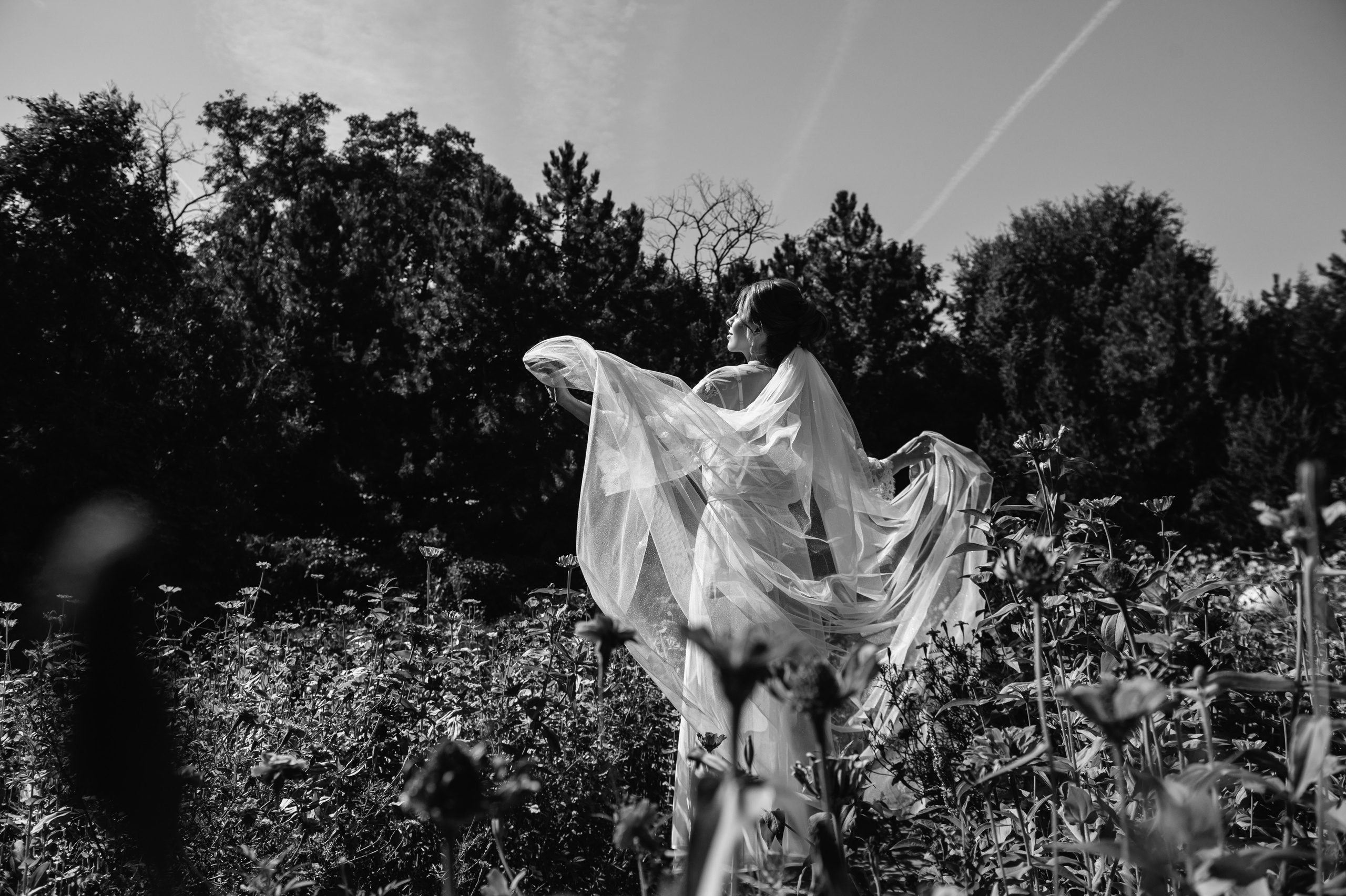 Семен и Анна. Свадебный организатор в Ростове-на-Дону Яснов Роман