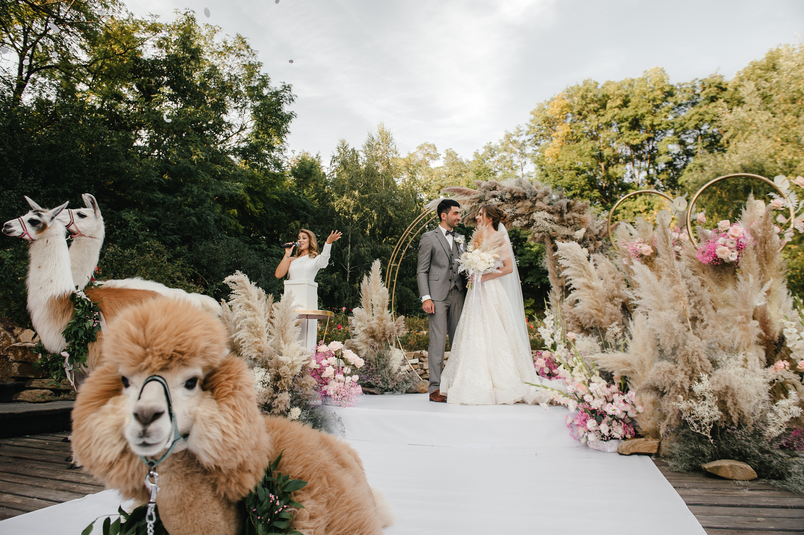 Семен и Анна. Свадебный организатор в Ростове-на-Дону Яснов Роман