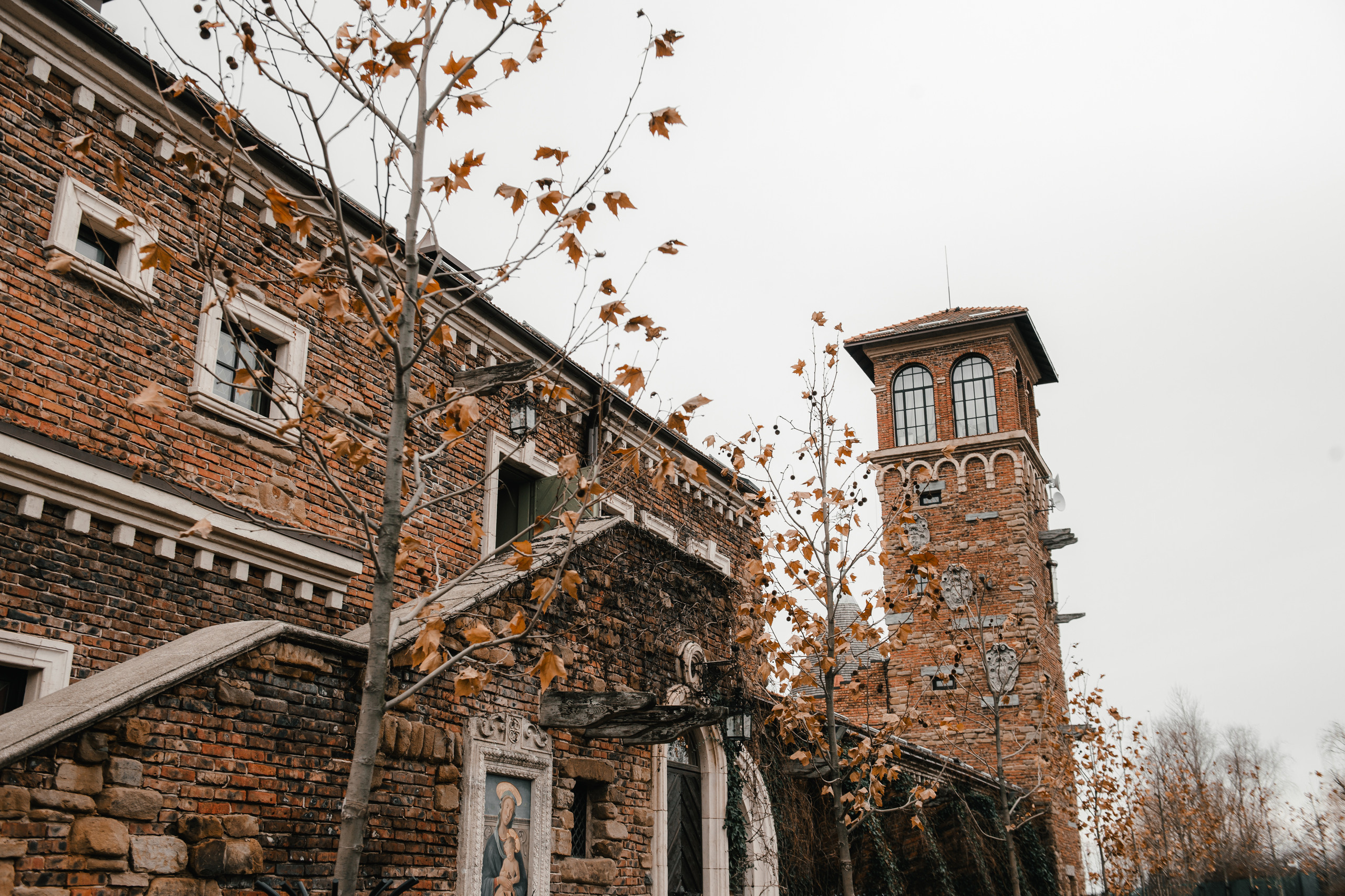 Павел и Олеся. Свадебный организатор в Ростове-на-Дону Яснов Роман