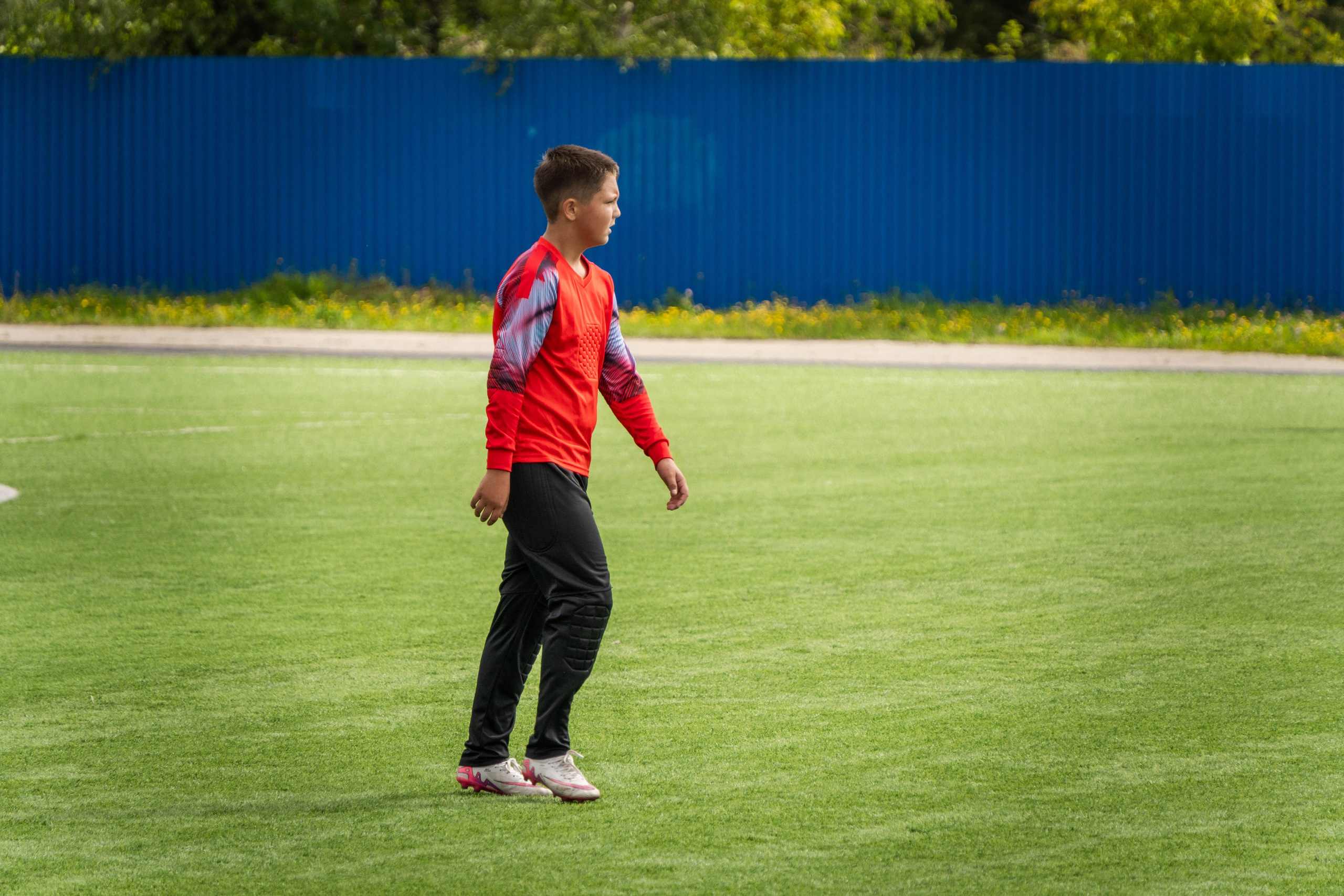 Живые фото. Главная