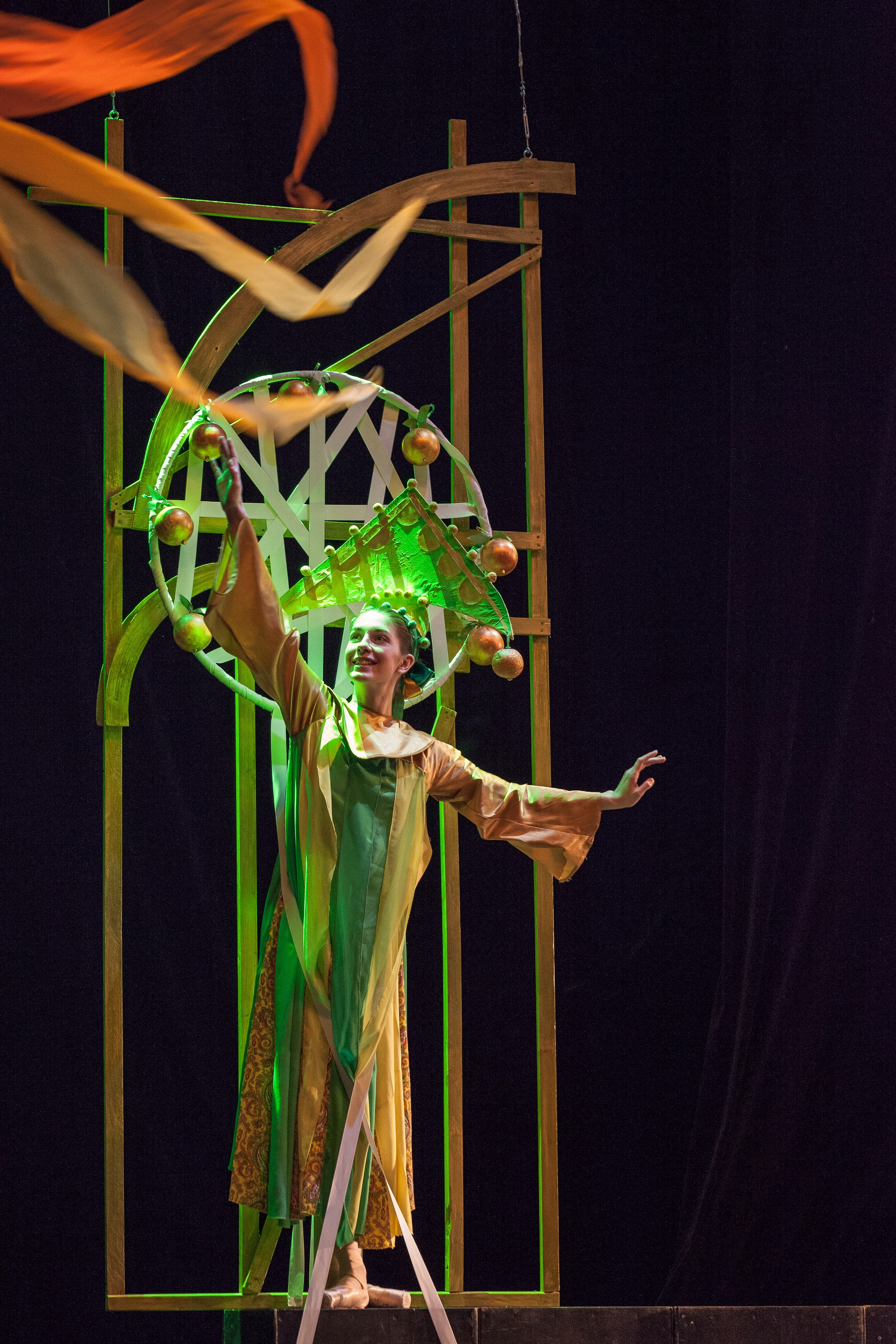 Балет «Жар-птица». Семейный и предметный фотограф Мария Львова Санкт-Петербург flitphoto