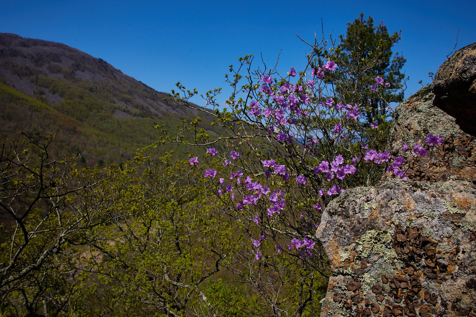 Сплав по Тигровой. Фотограф во Владивостоке Осипчук Дмитрий